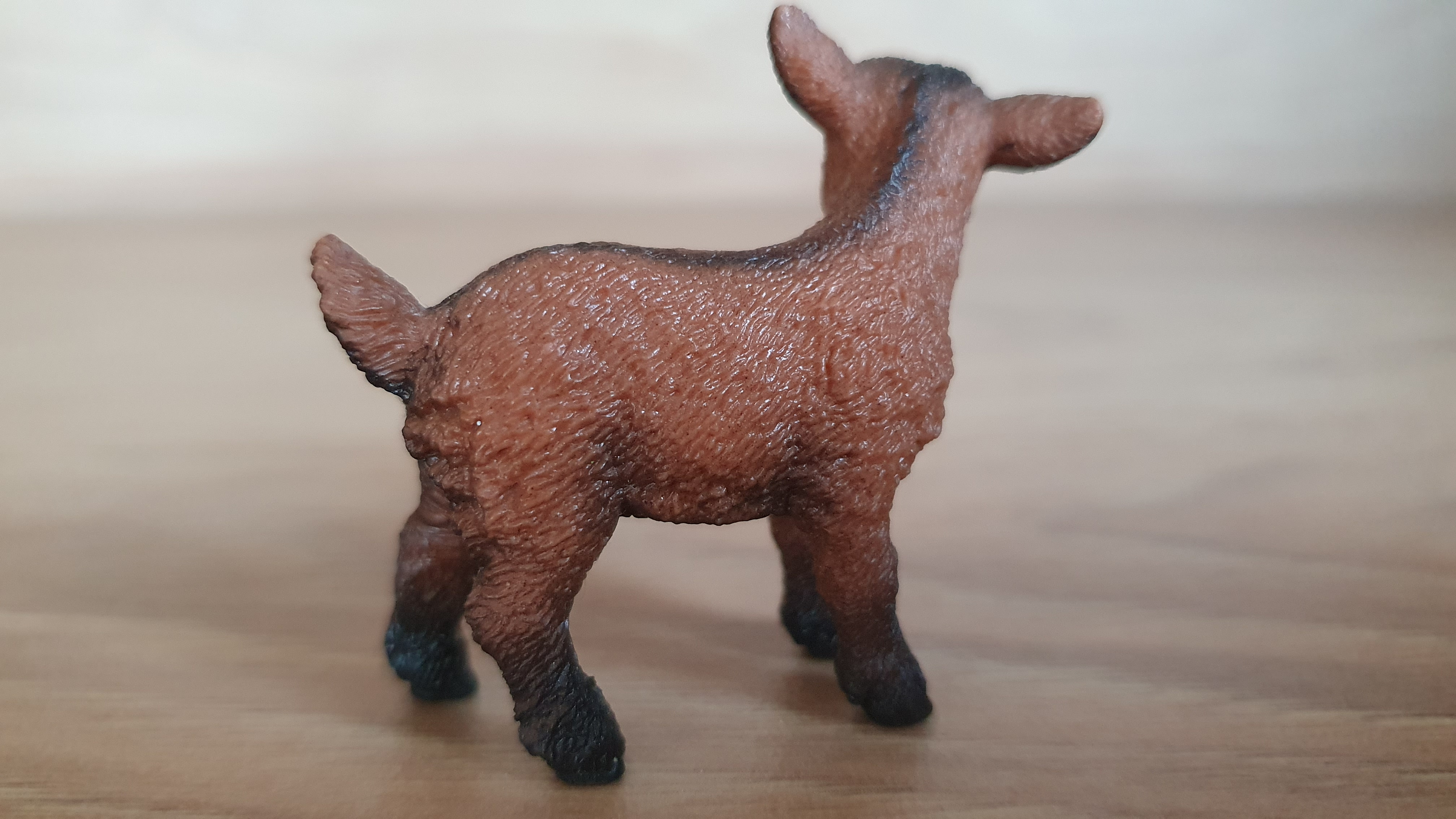 kůzle hnědé 13829, model 2016