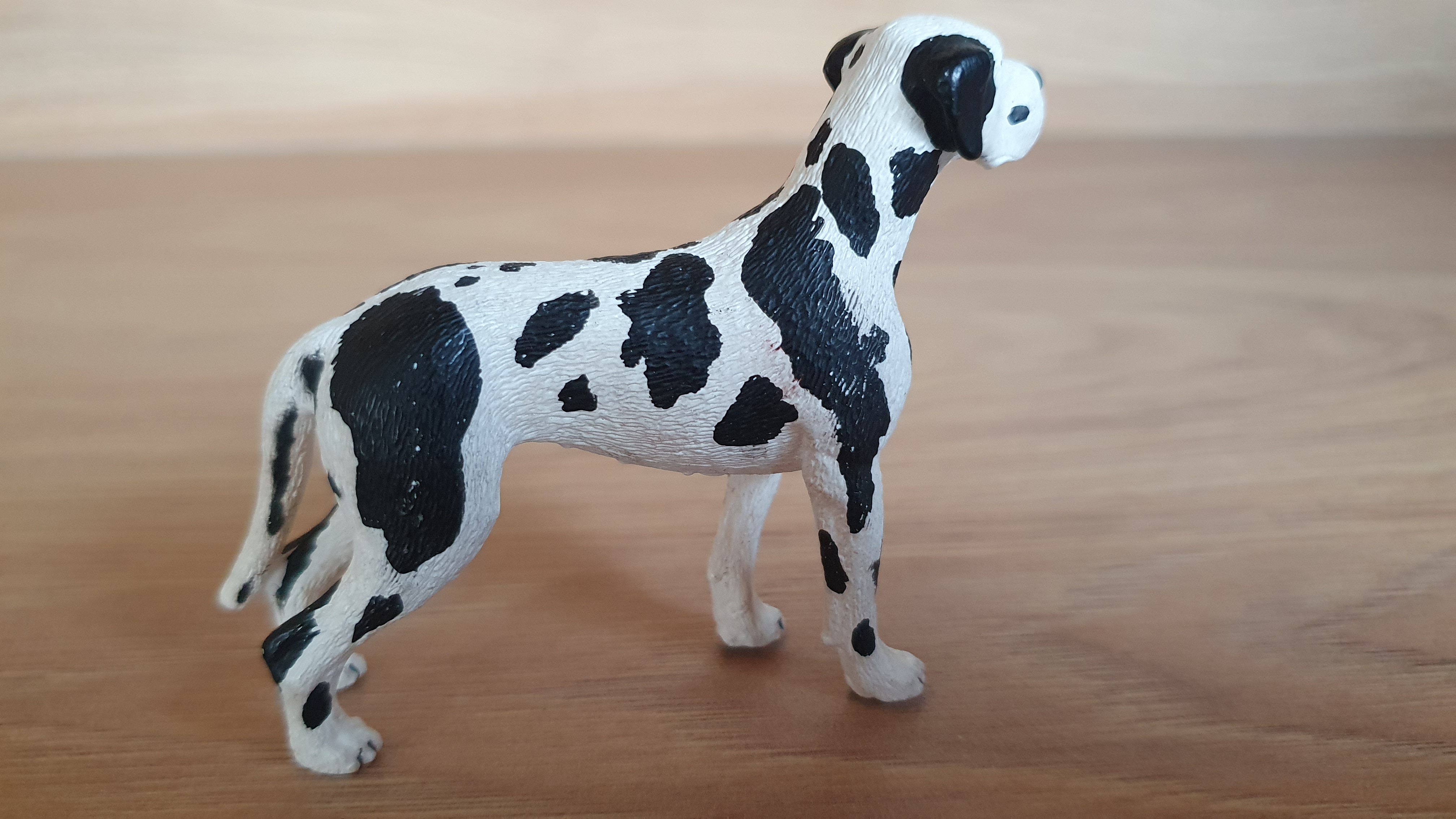 Německá doga 16384, model 2009