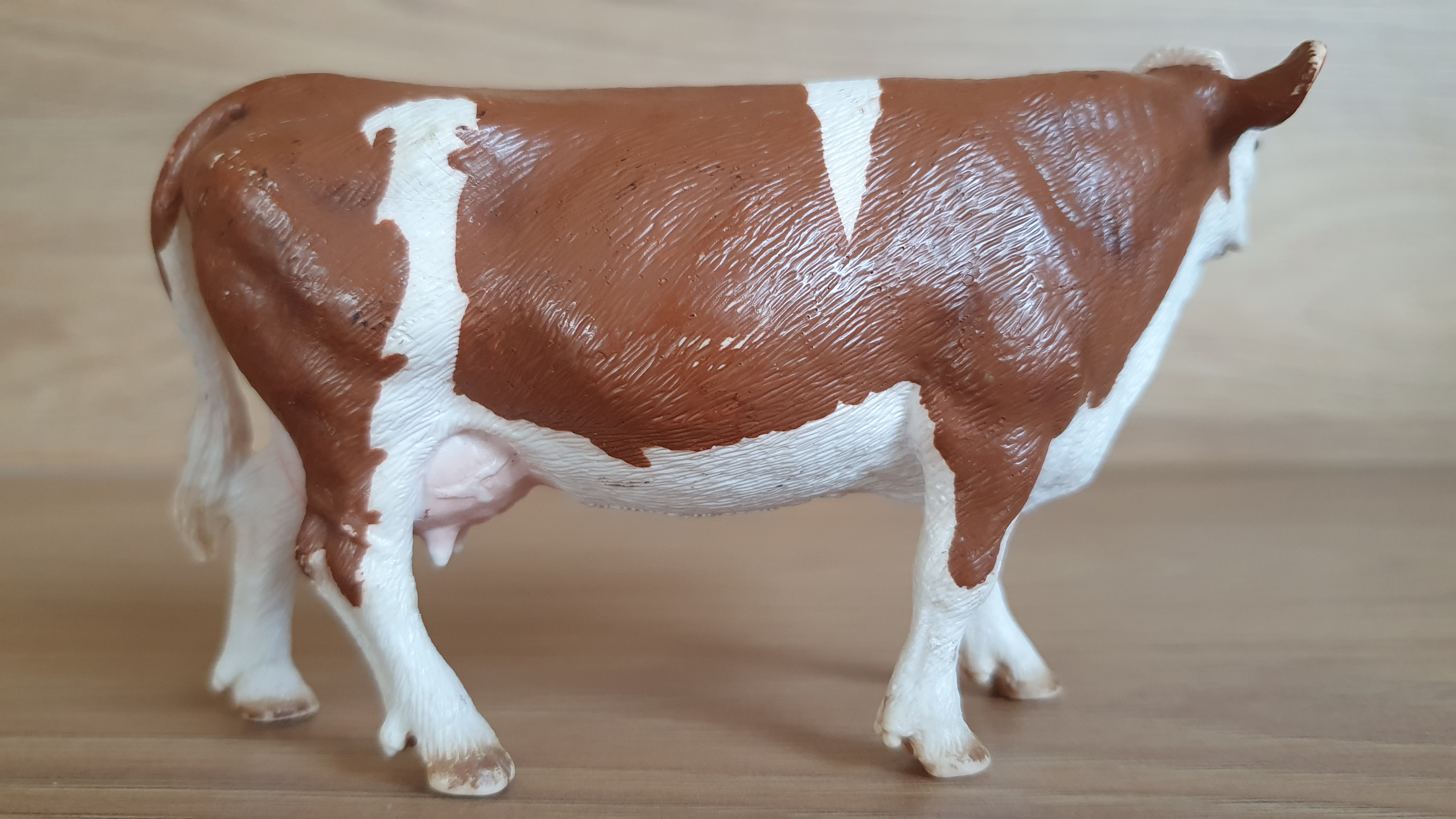 kráva Simmentálská 13641, model 2008