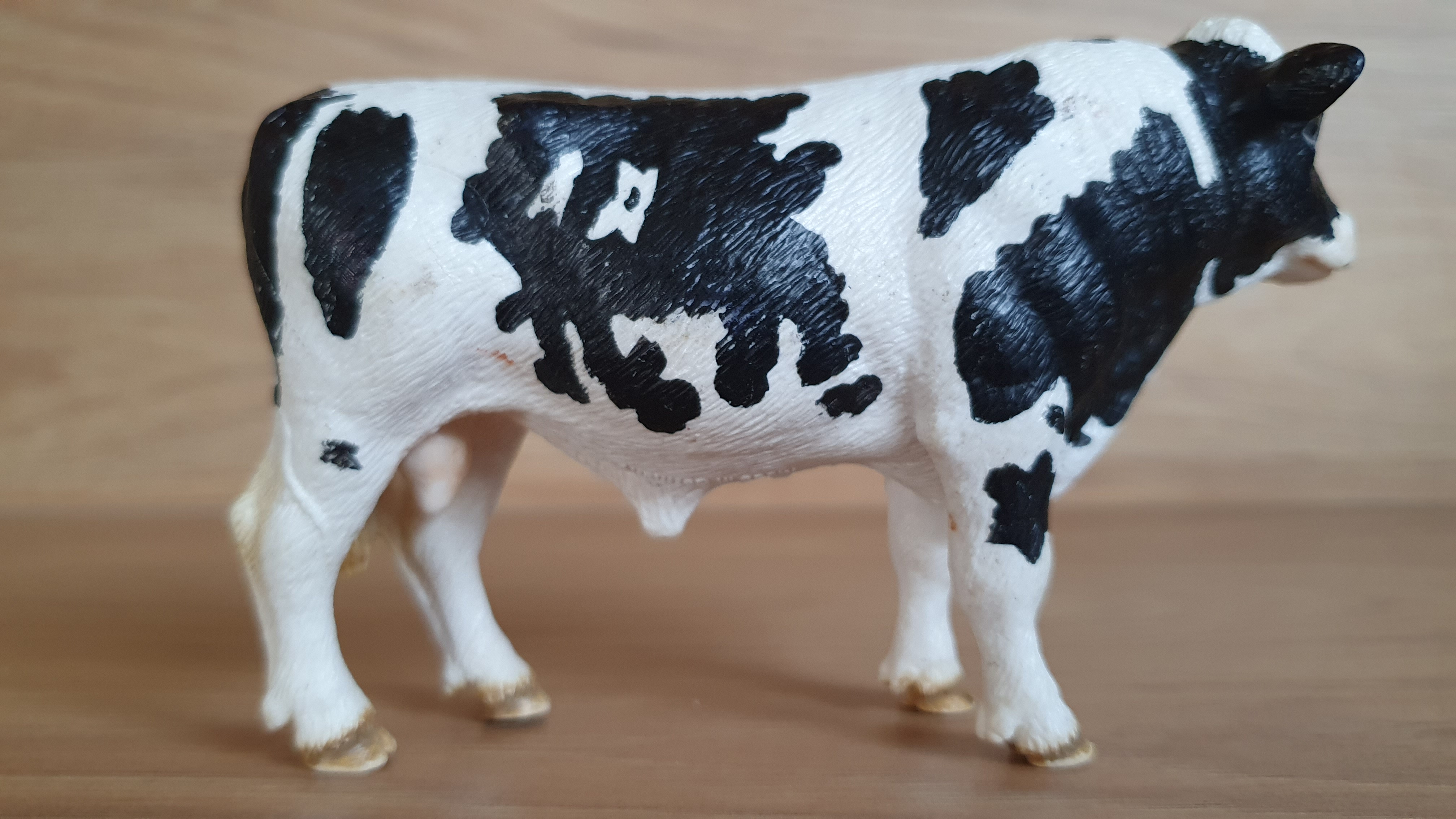 býk holštýnský 13632, model 2007