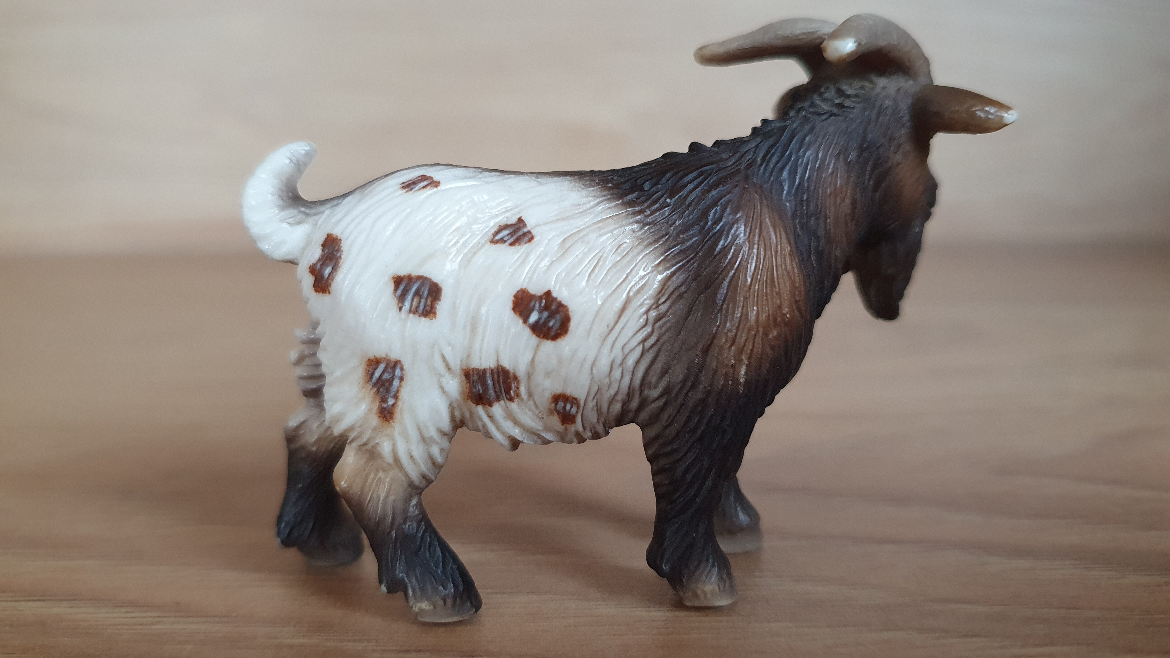 kozel menší 13602, model 2004
