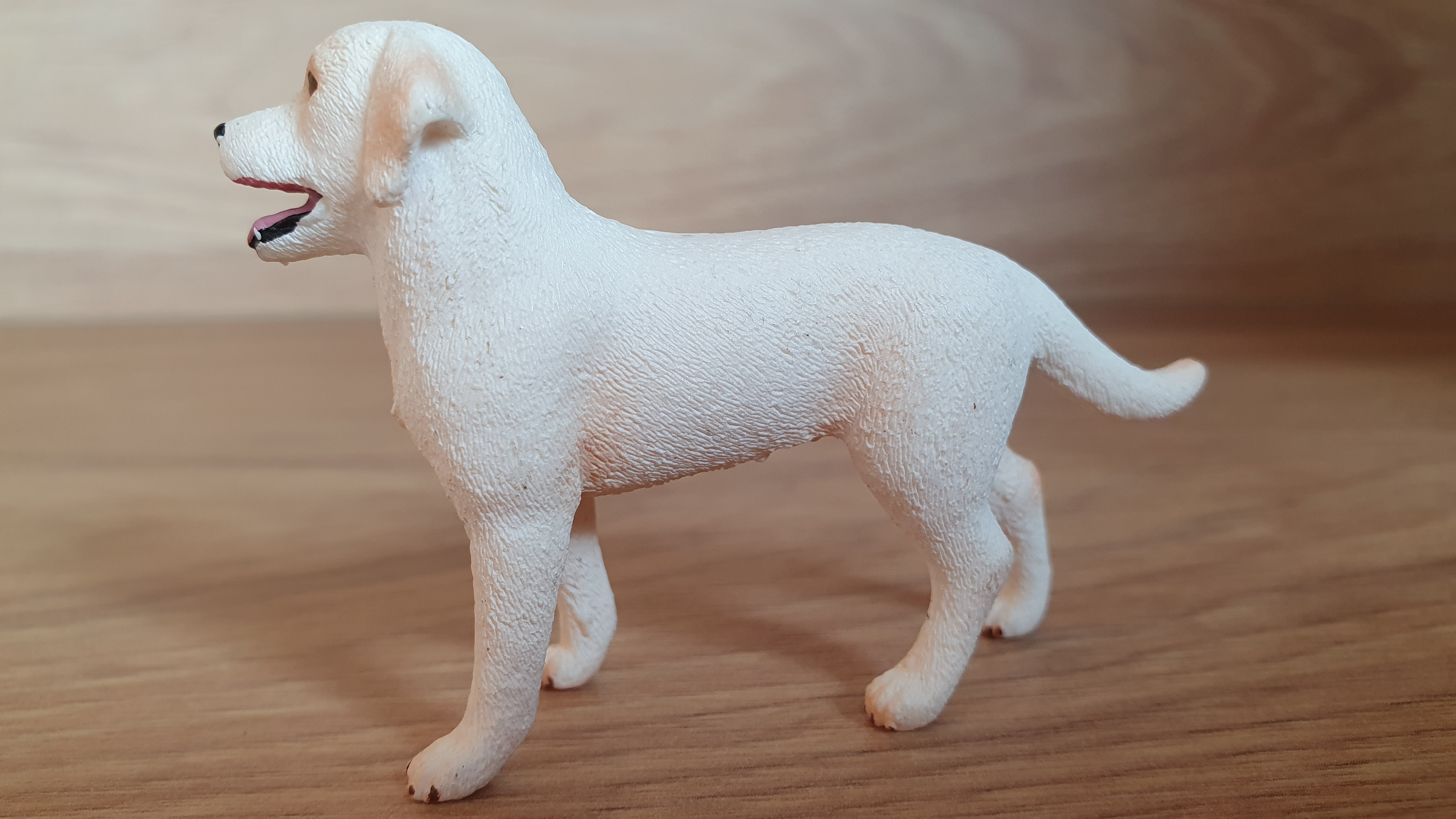 labrador bíly ze setu 42478;;
