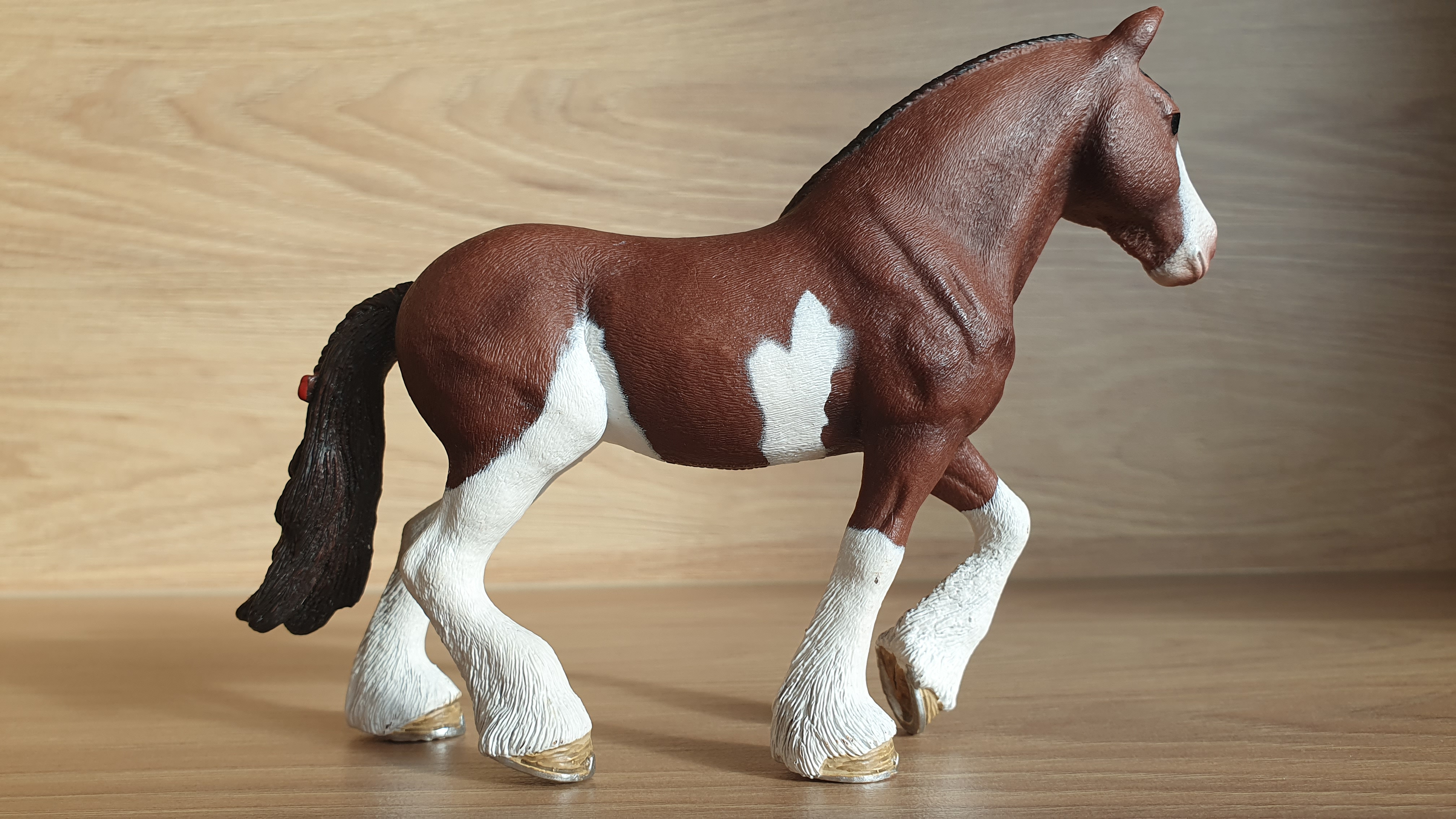 Clydesdale klisna  13809, model 2015