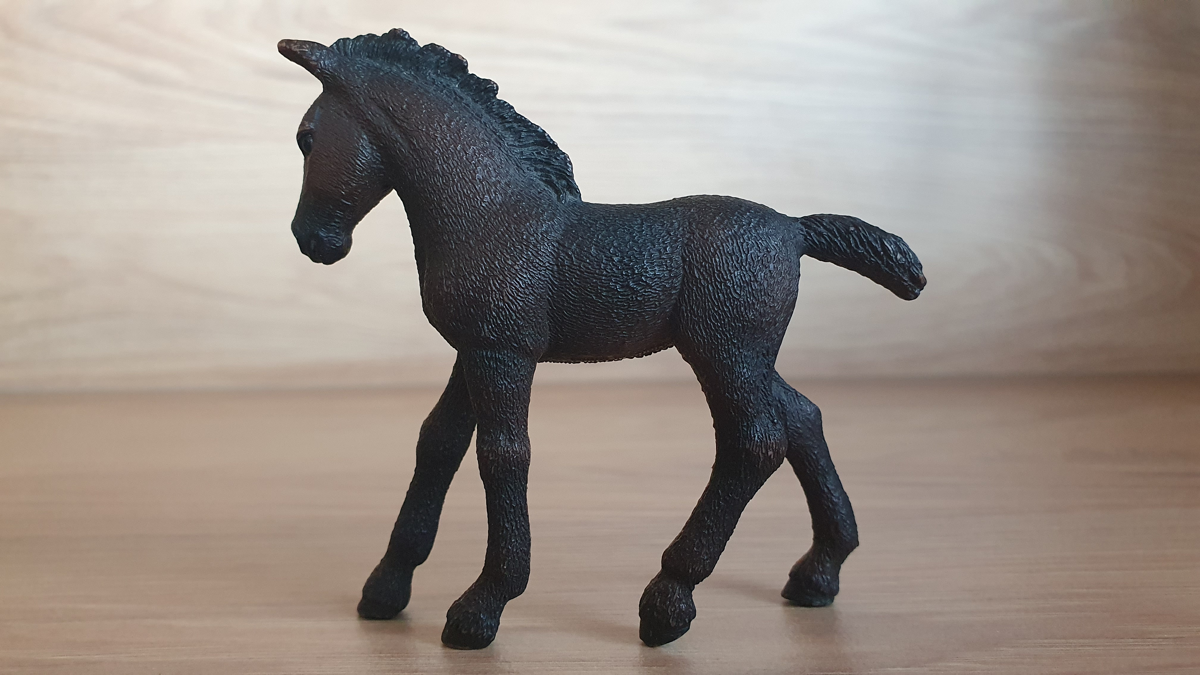 Lipicánské hříbě  13820, model 2016