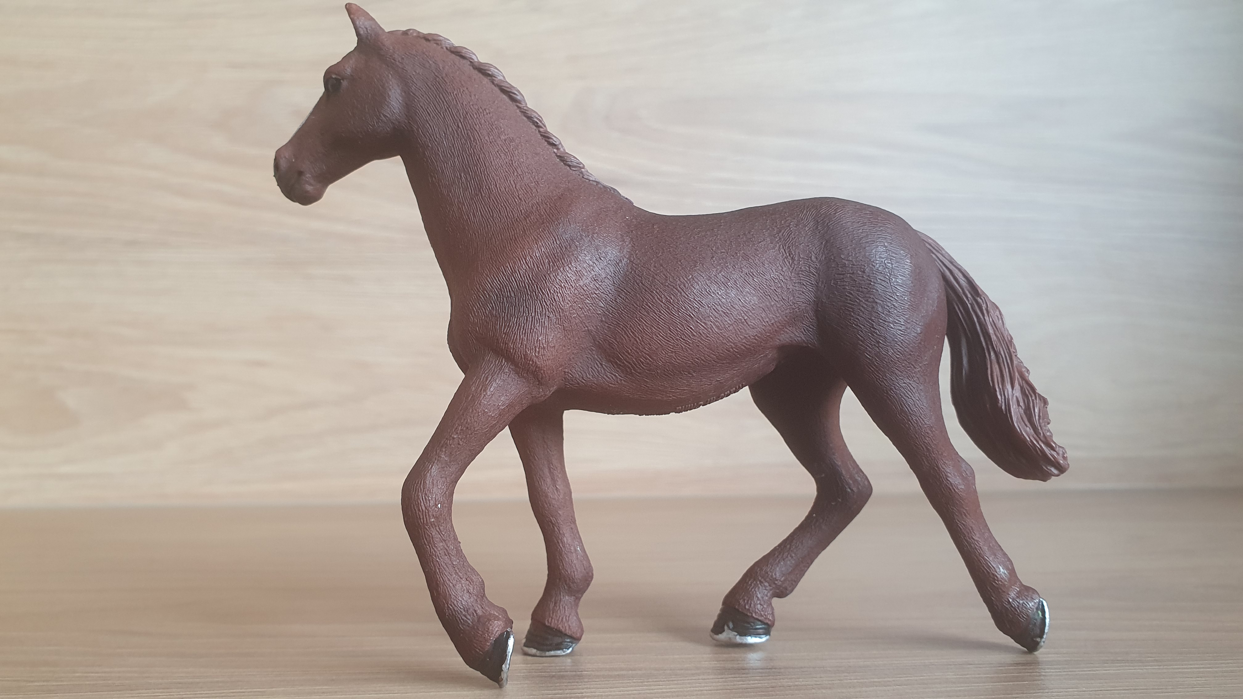Anglický plnokrevník klisna 13855, model 2016