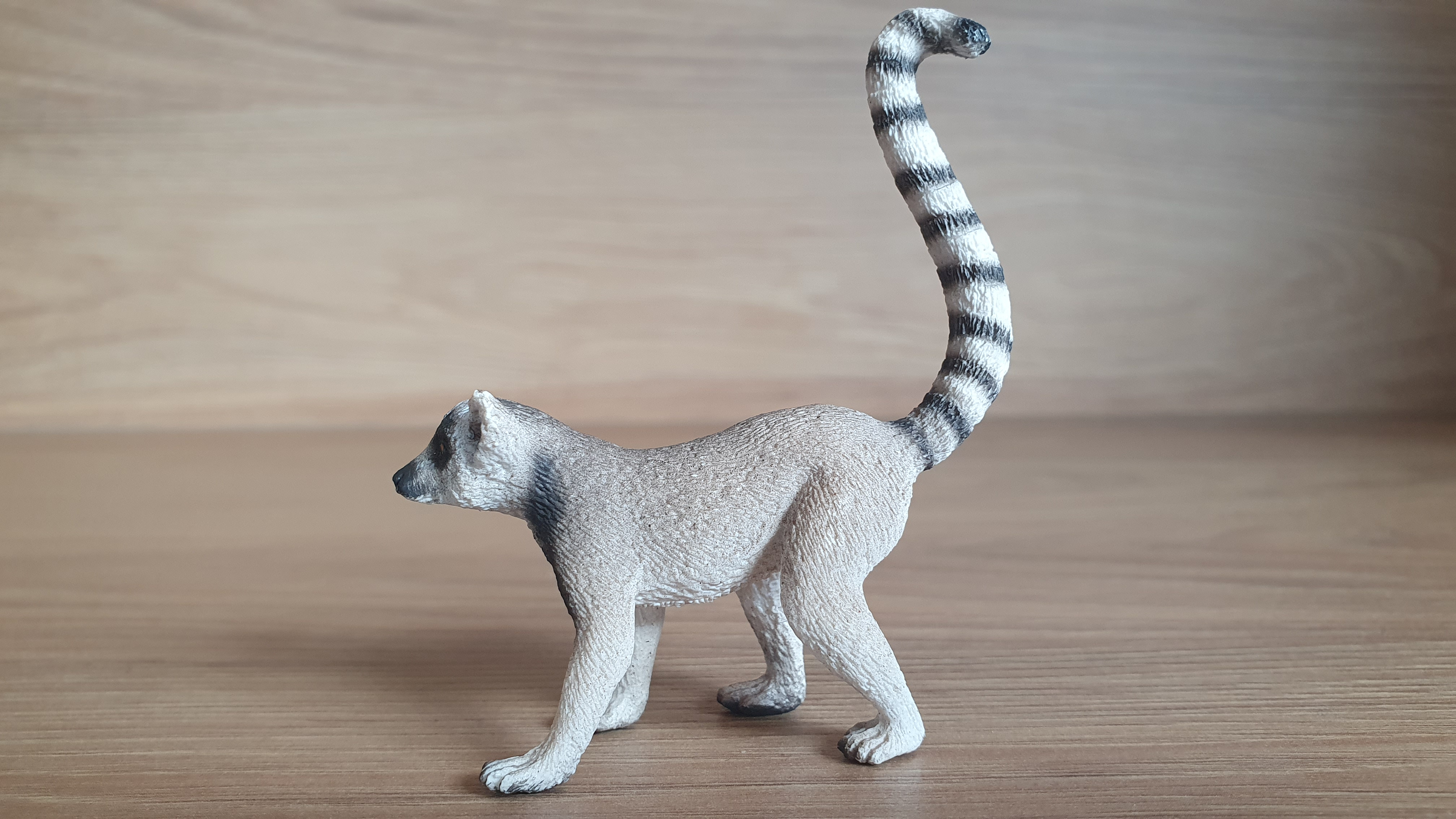 lemur  14827