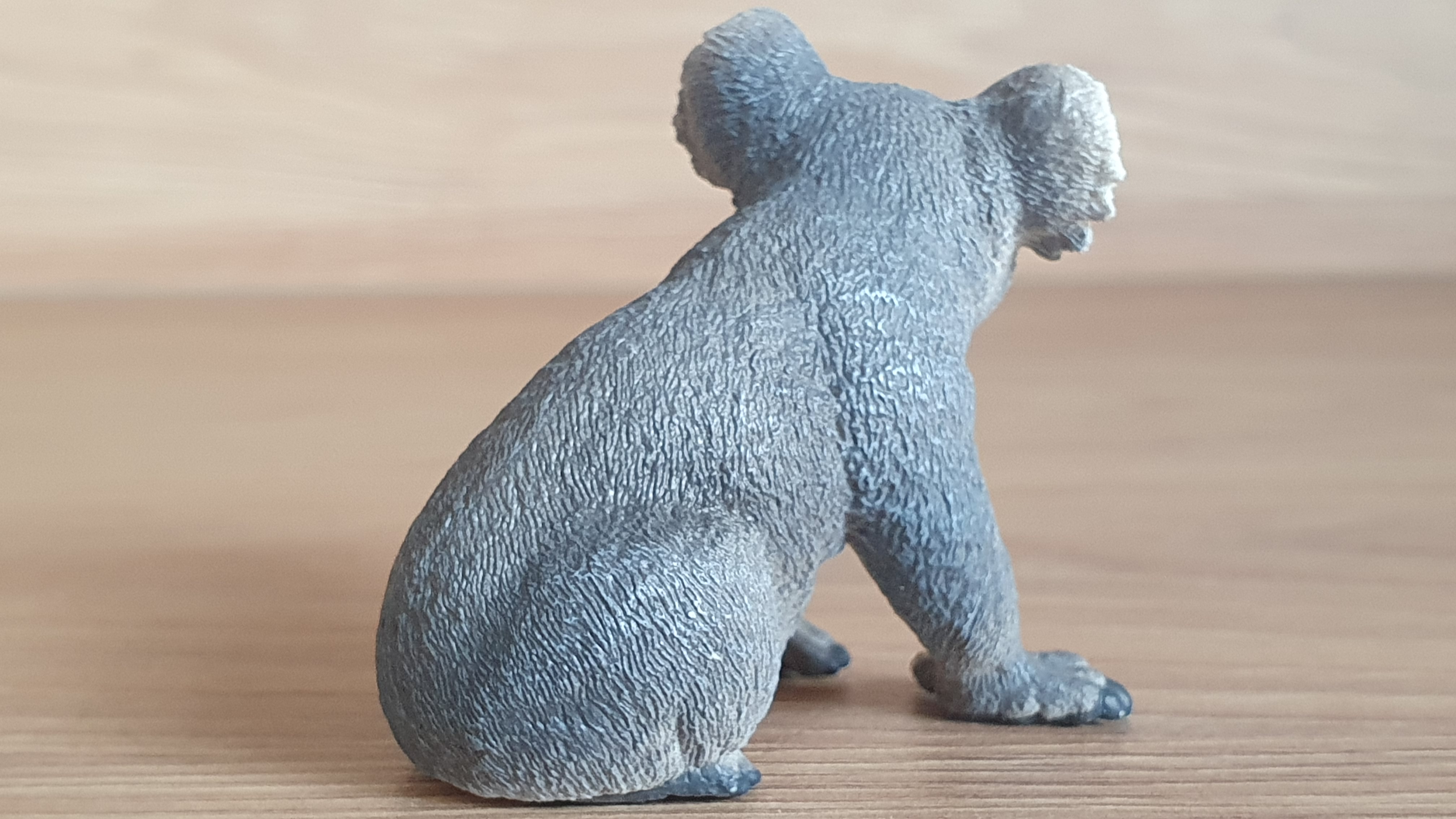 koala 14815, model 2017