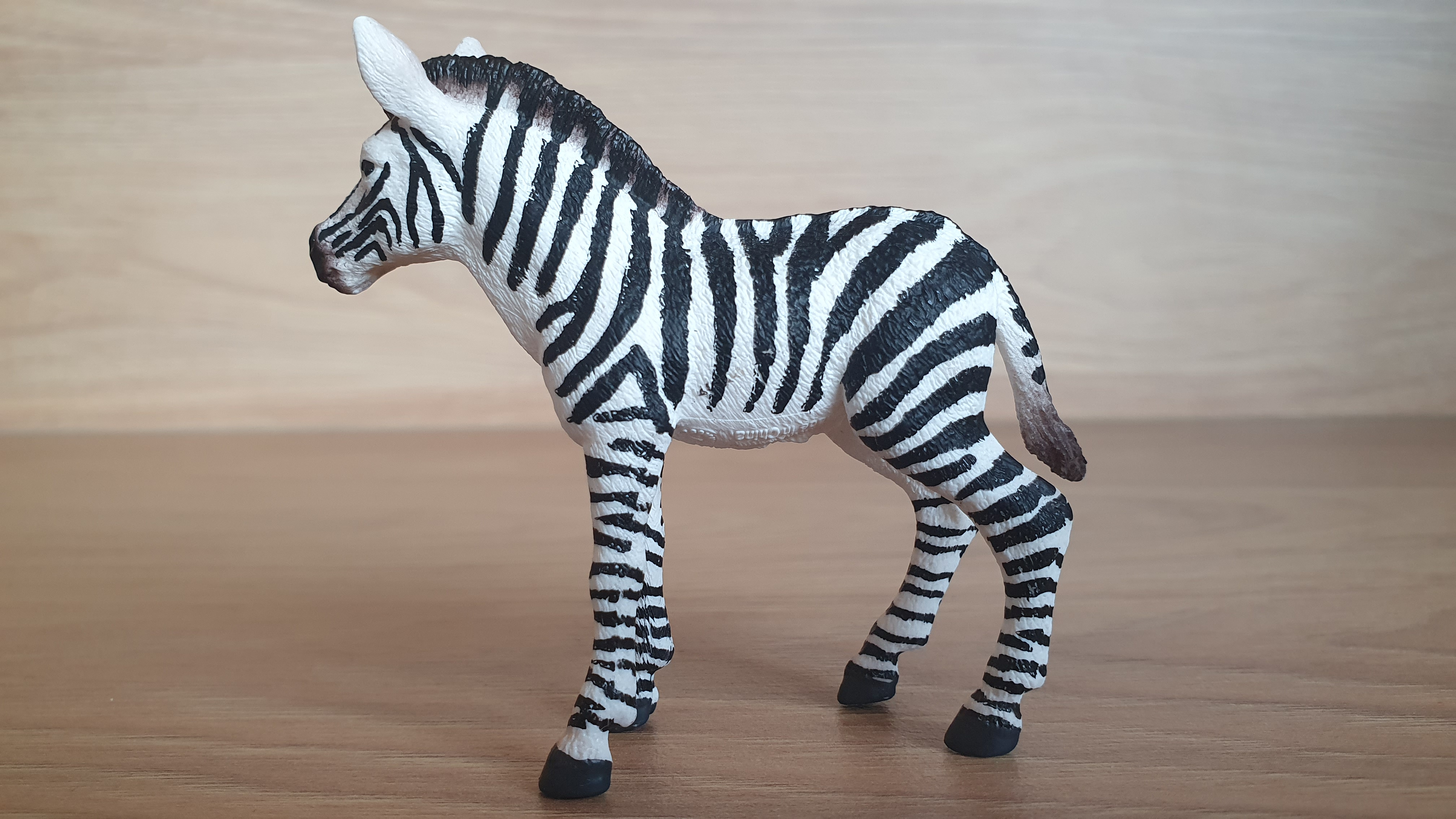 zebra mládě 14811, model 2017