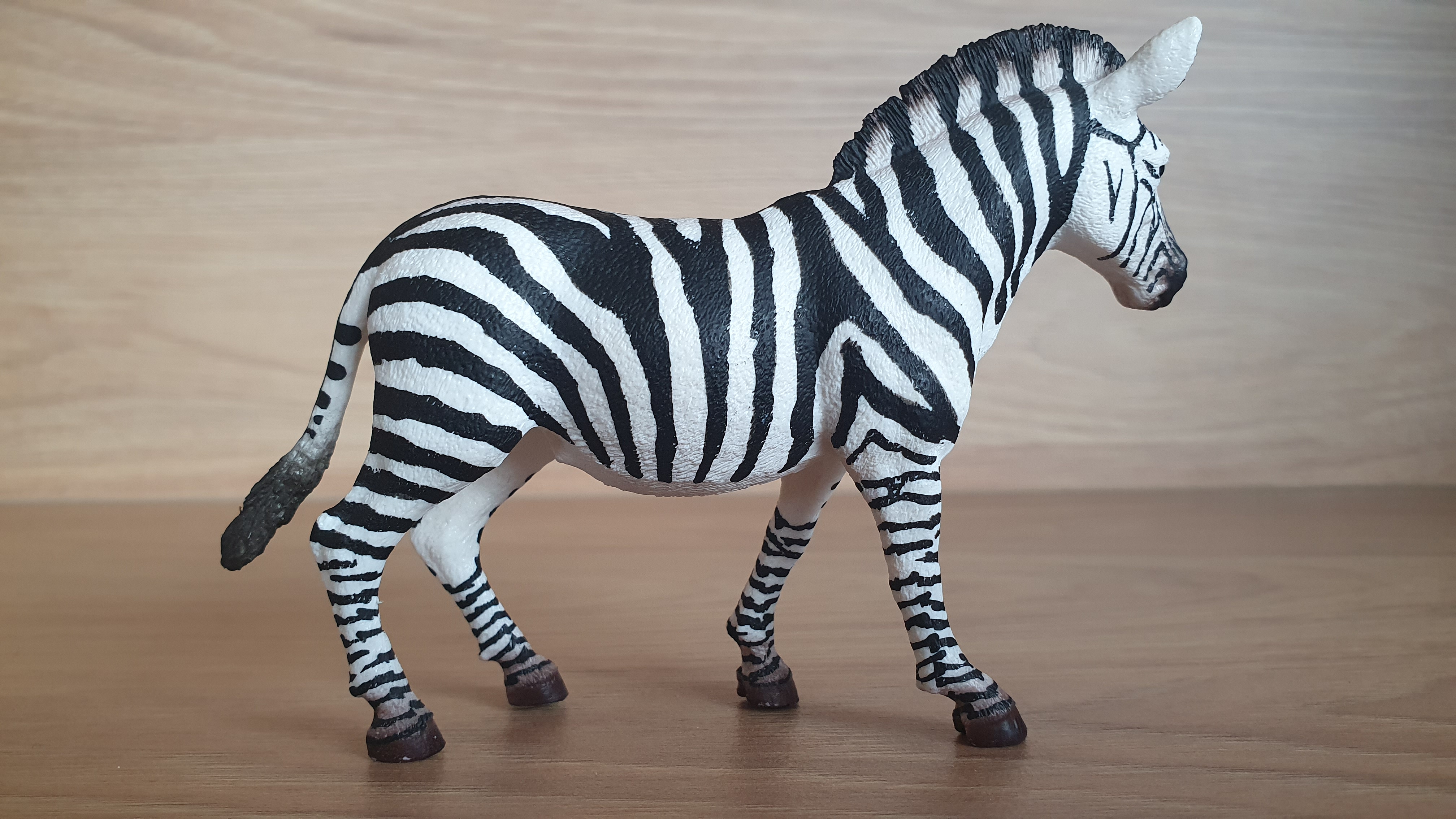 zebra 14810, model 2017