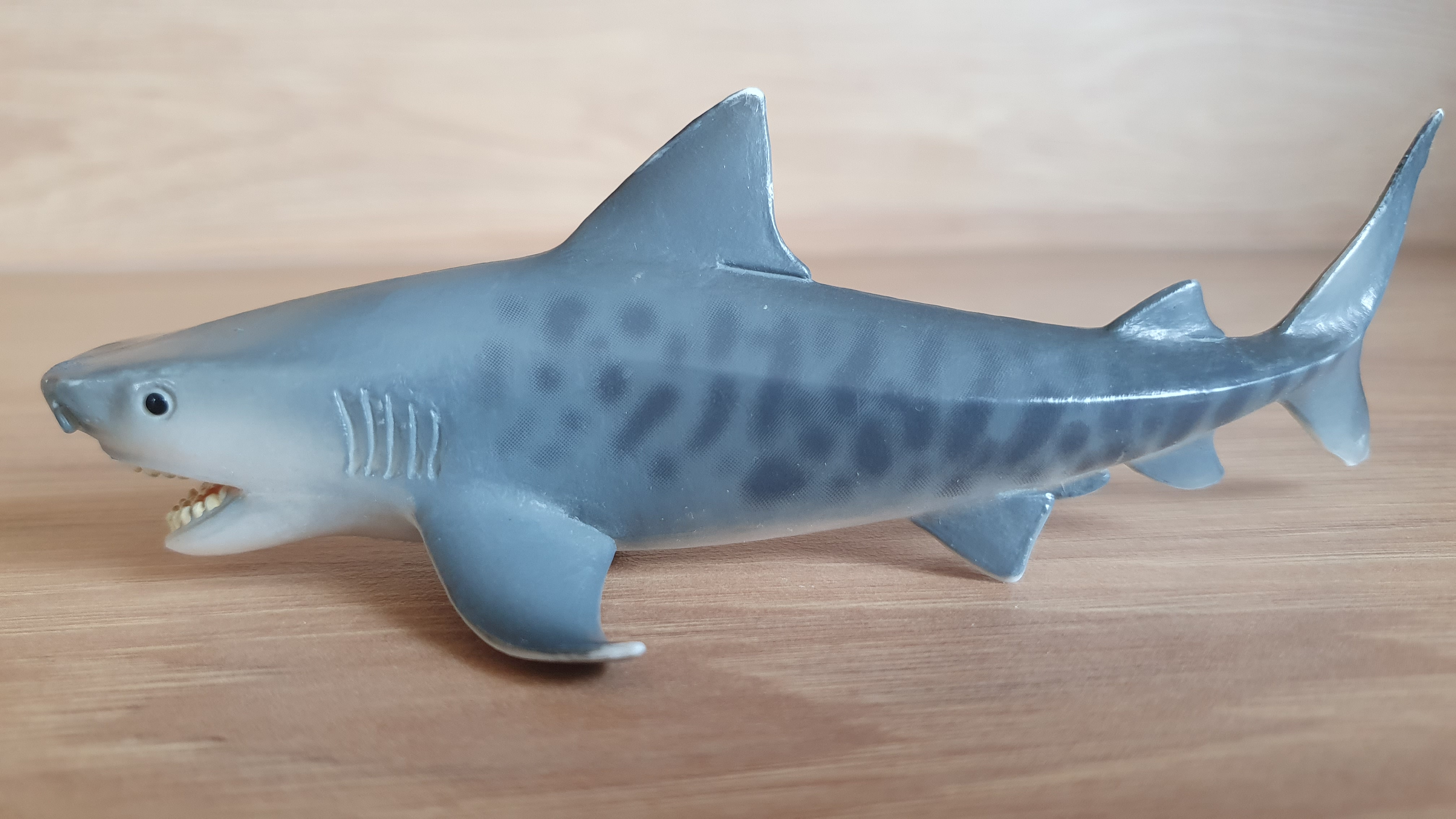 žralok tygří  14765, model 2015