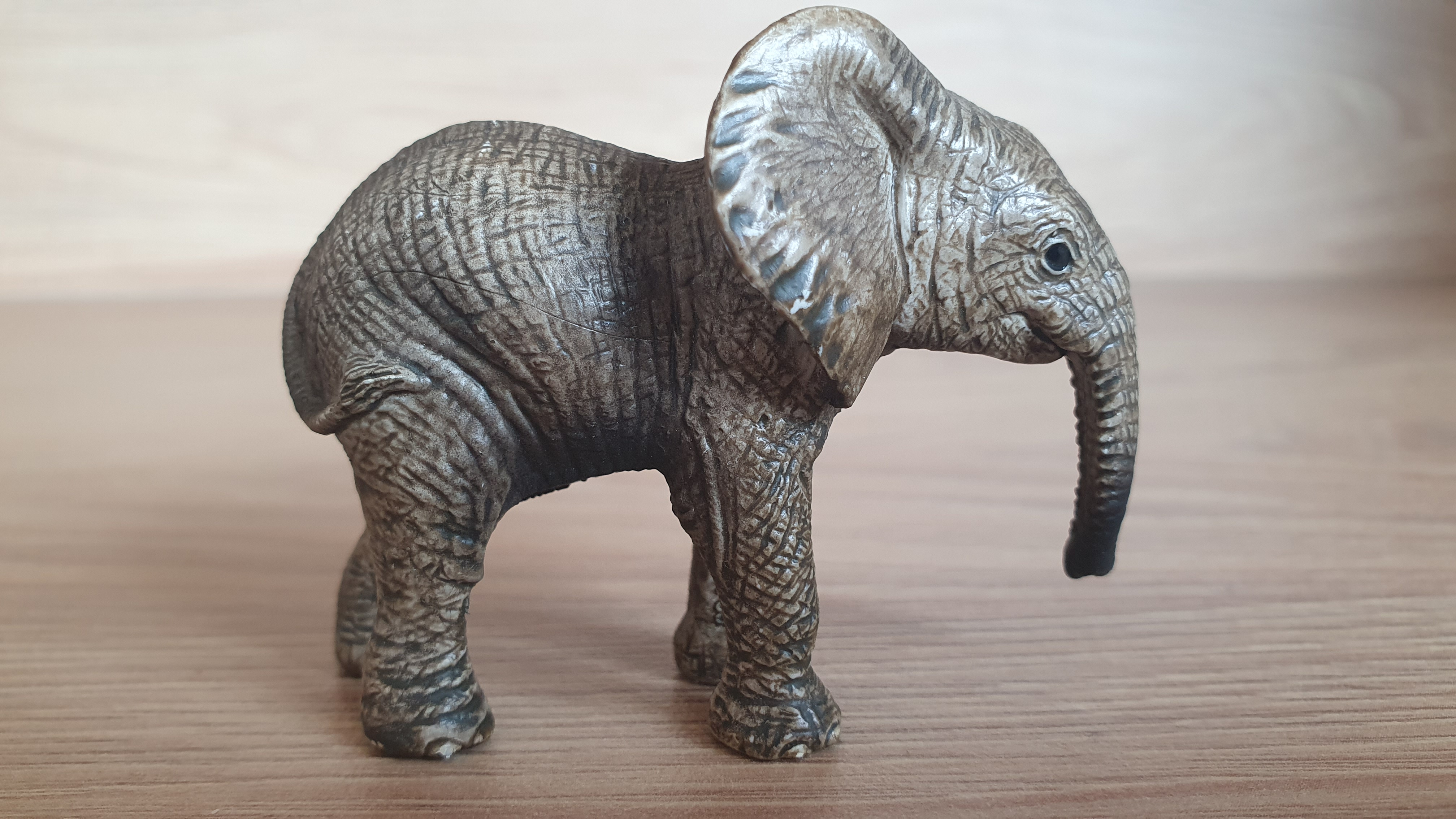 slůně  14763, model 2015