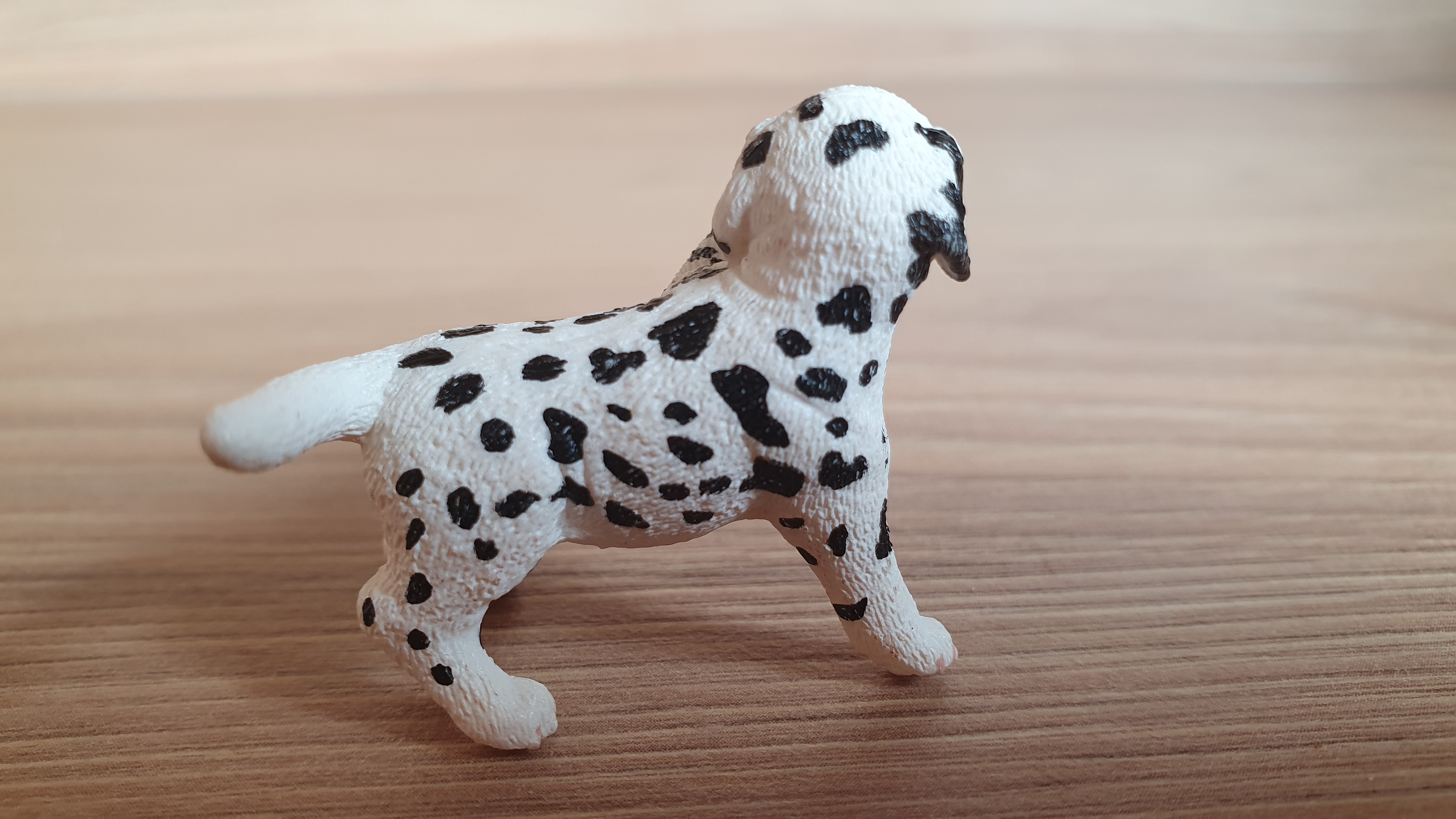 Dalmatin štěně 16839, model 2015