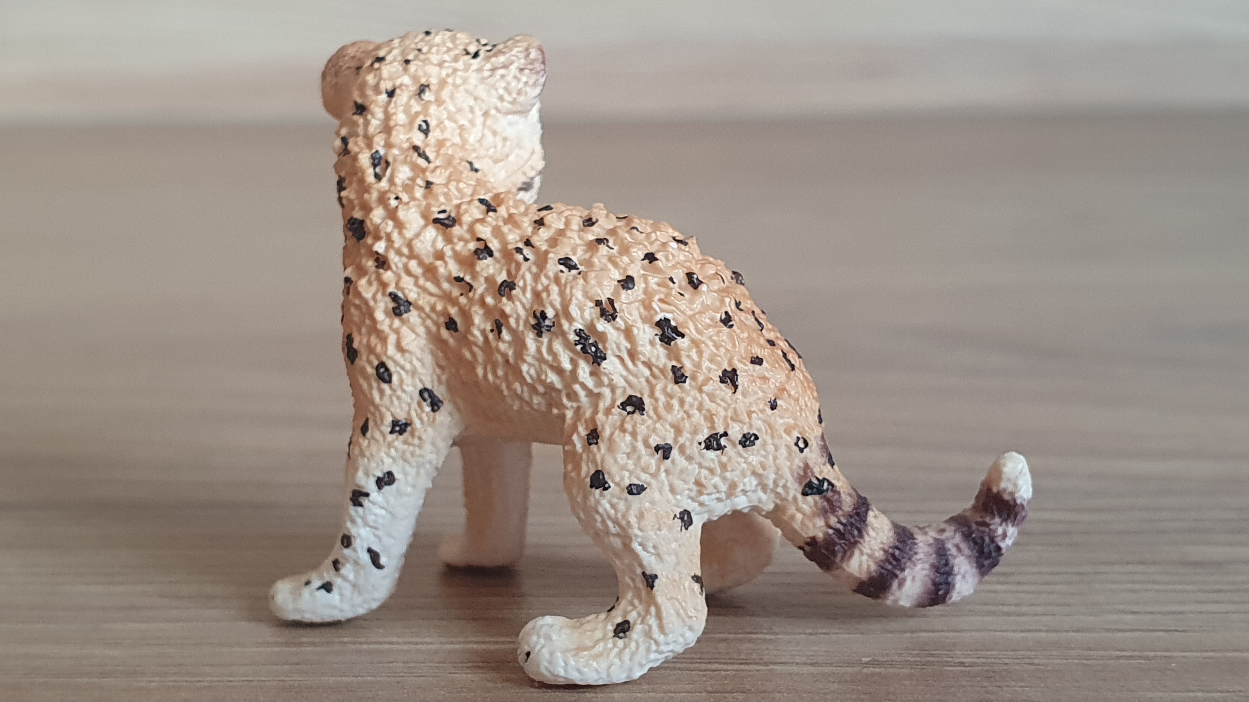 gepard mládě 14747, model 2015