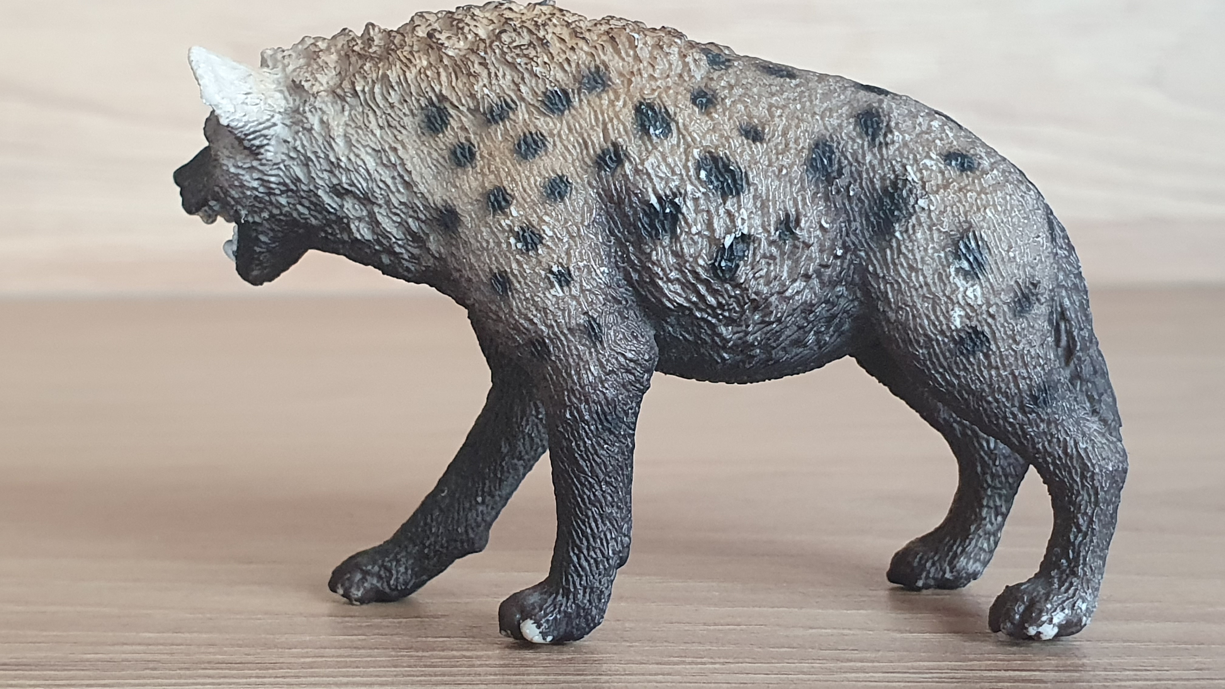hyena  14735, model 2014