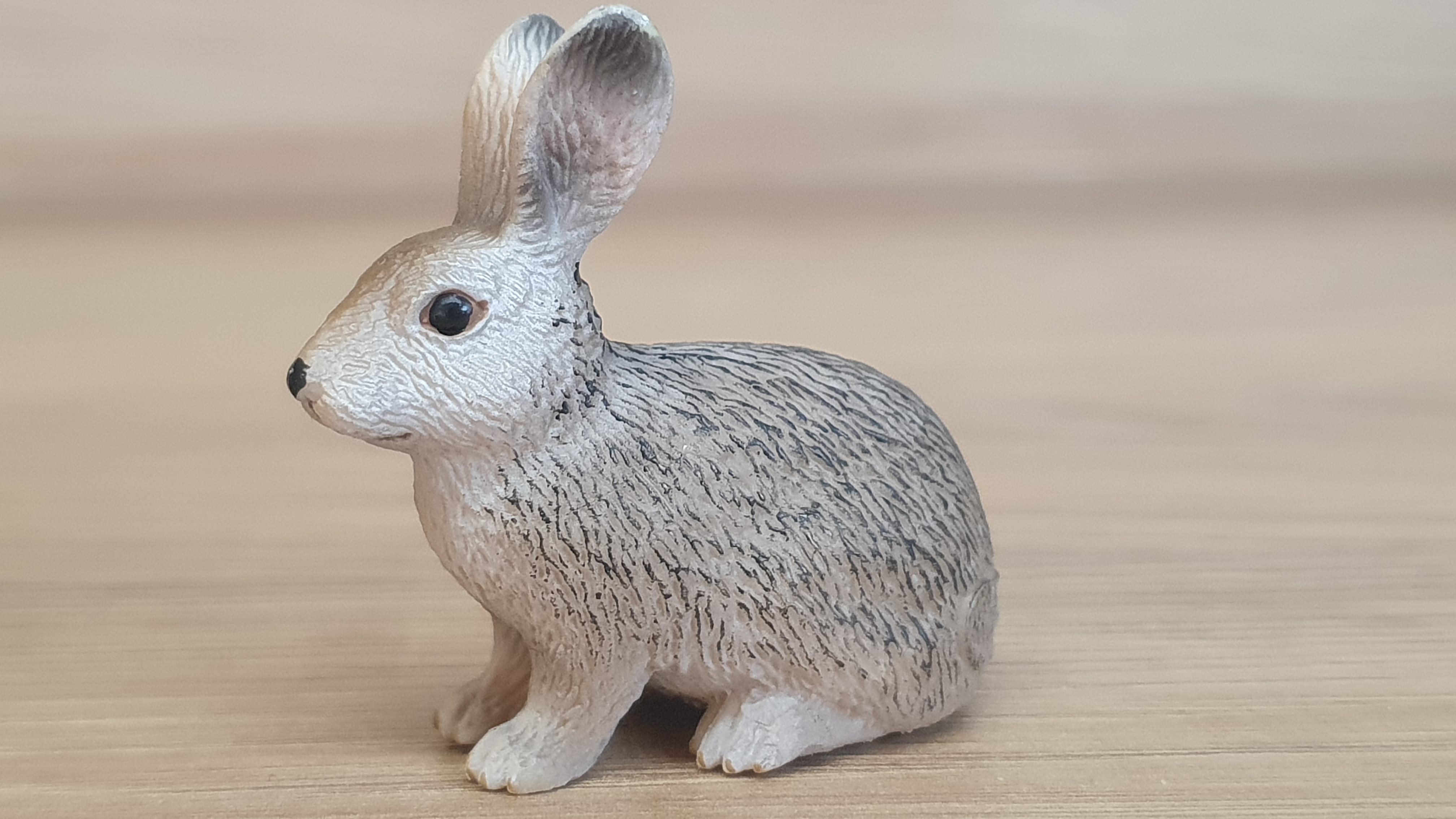 králík divoký 14631, model 2009