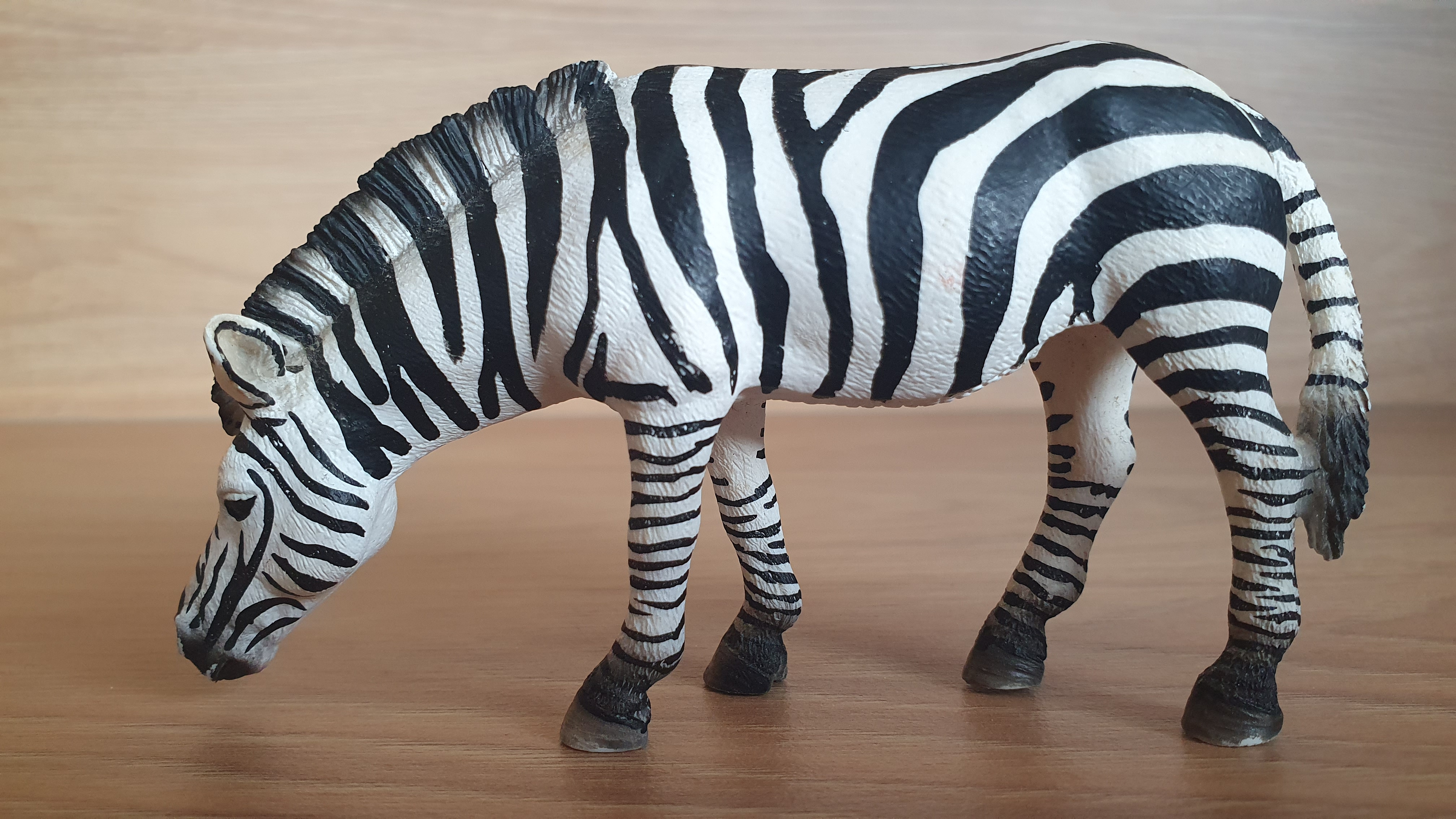 zebra 14609, model 2009