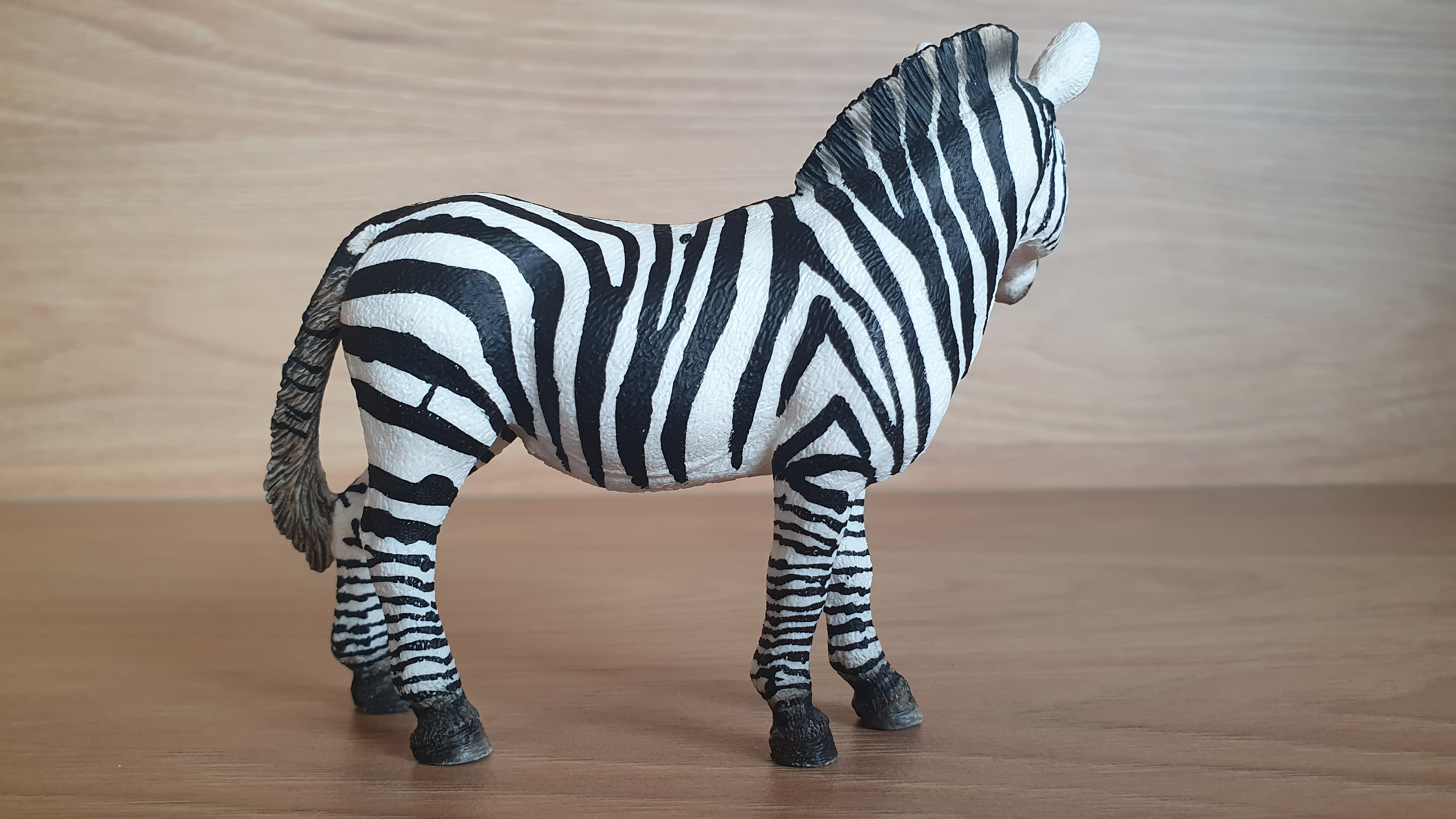 zebra 14392, model 2008