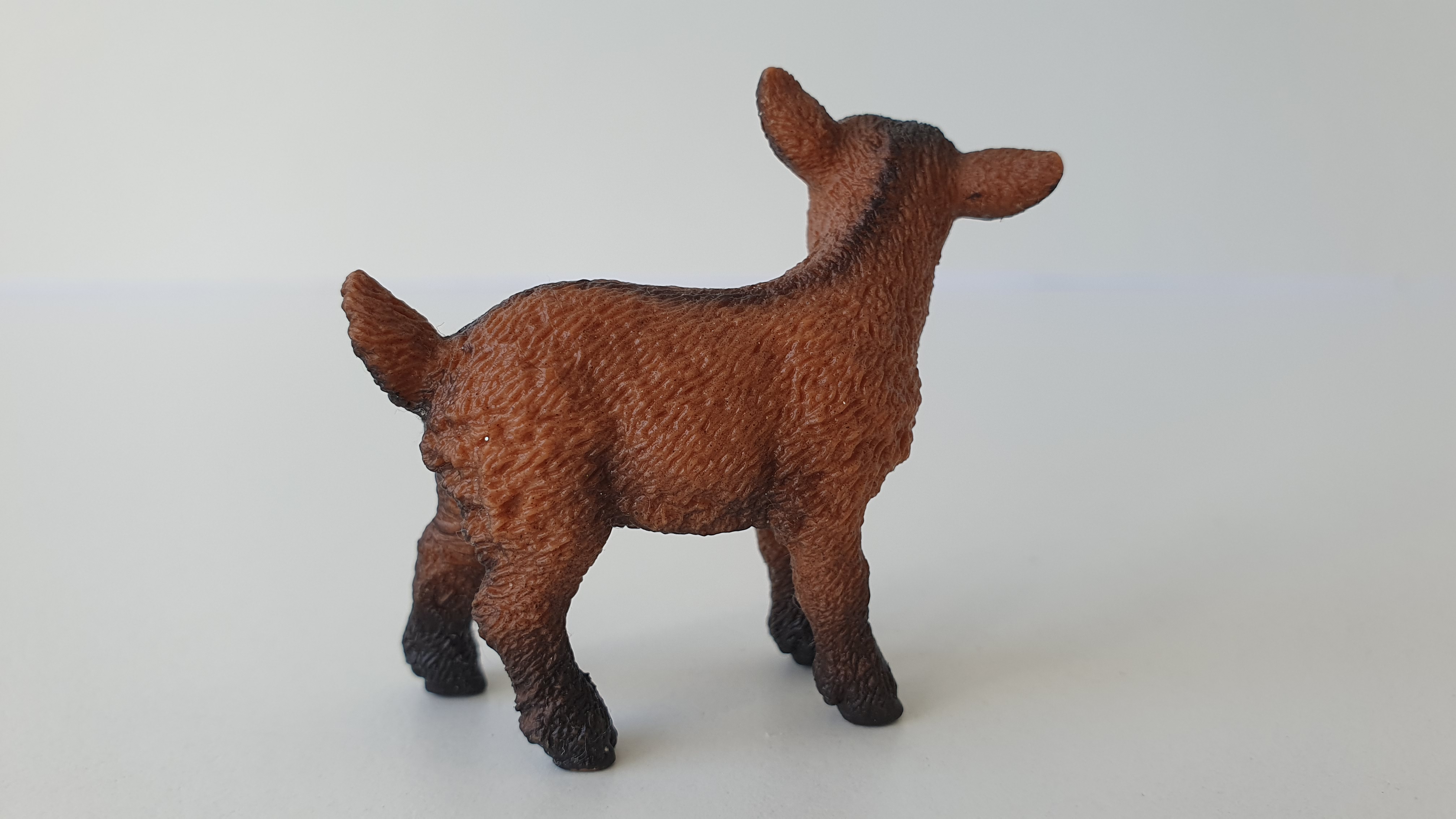 kůzle hnědé 13829, model 2016
