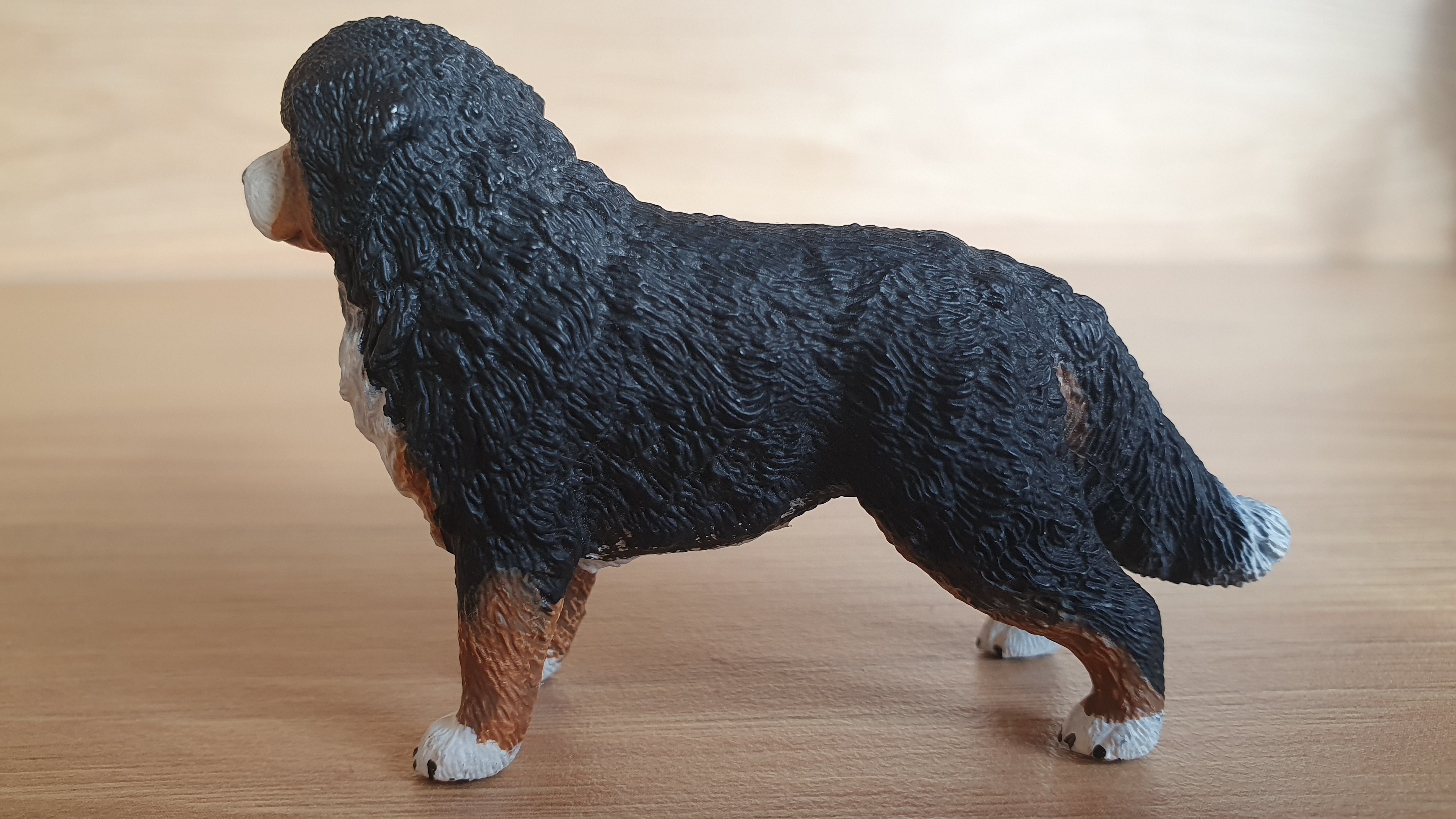 Bernský salašnický pes 16397, model 2013