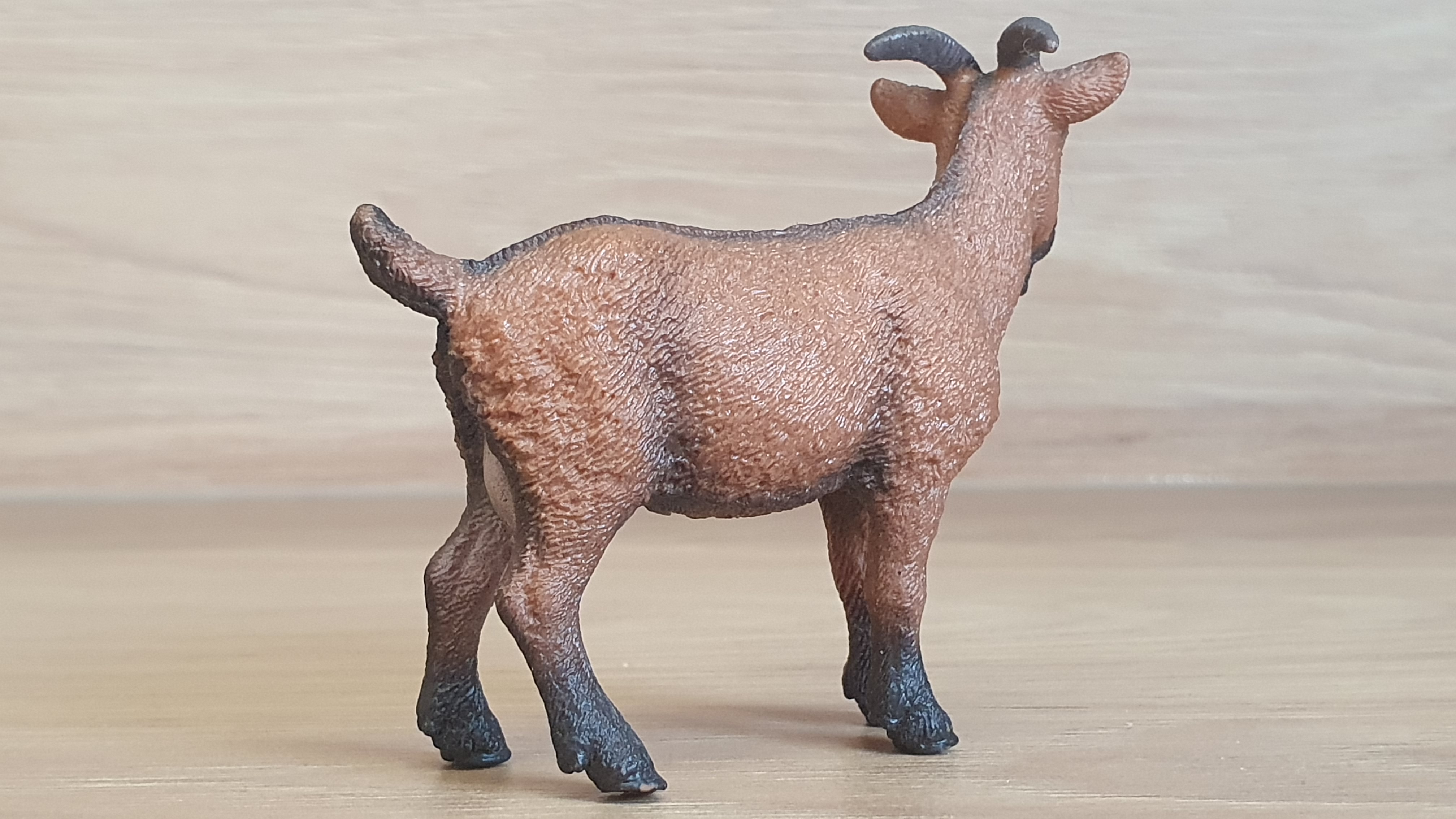 koza  13828, model 2016
