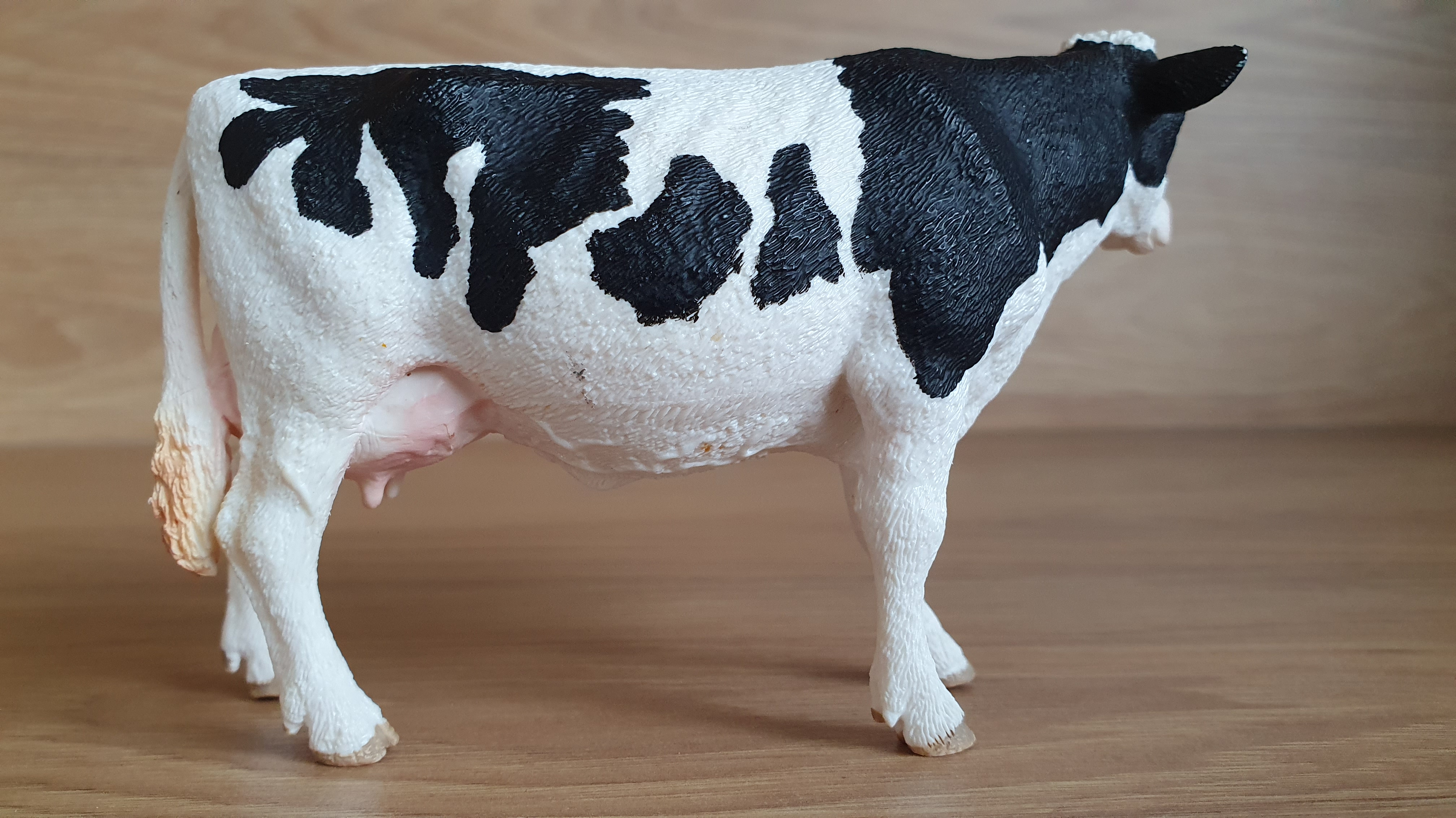 kráva holštýnská 13797, model 2015