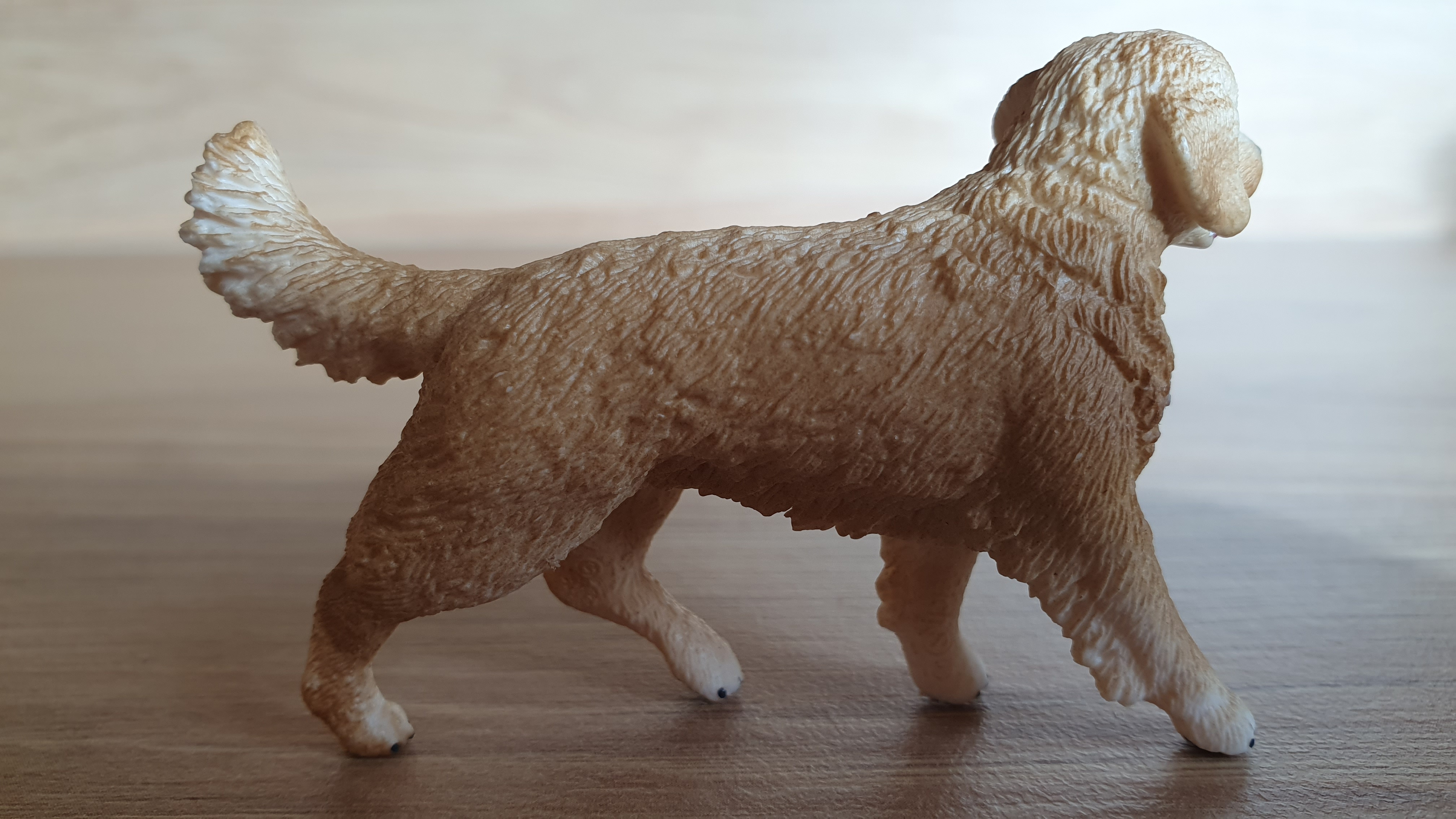 zlatý retrívr 16395, model 2013