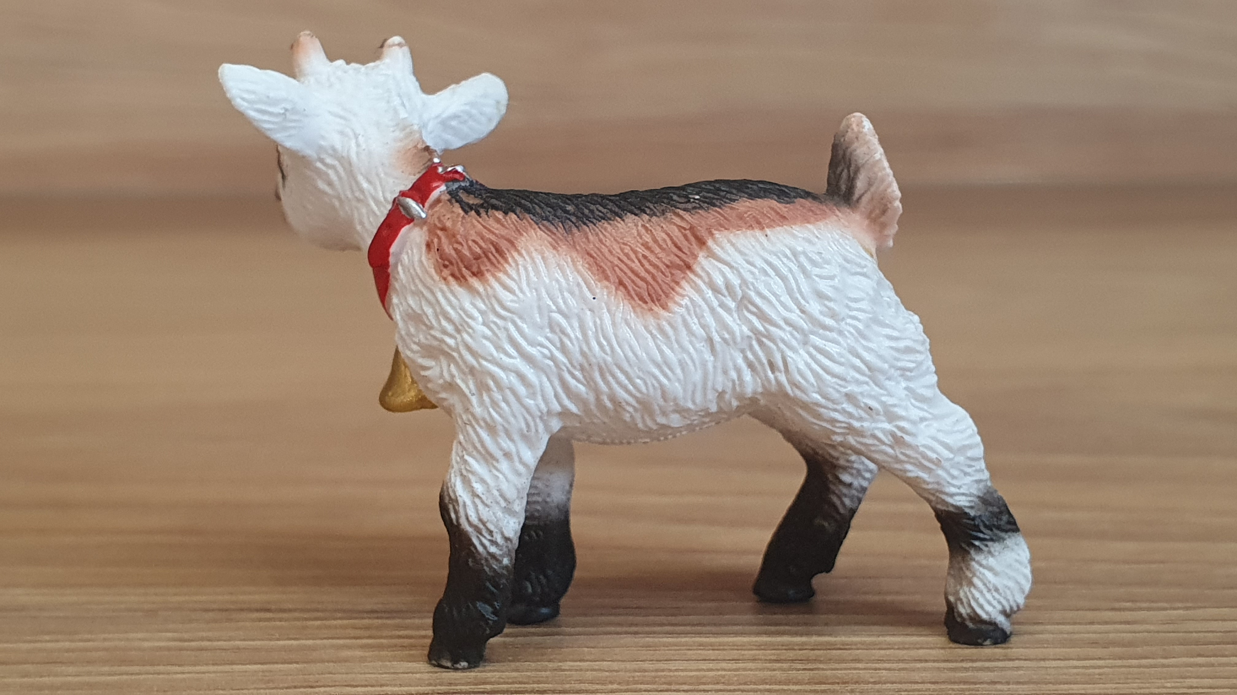 kůzle se zvonkem 13720, model 2012