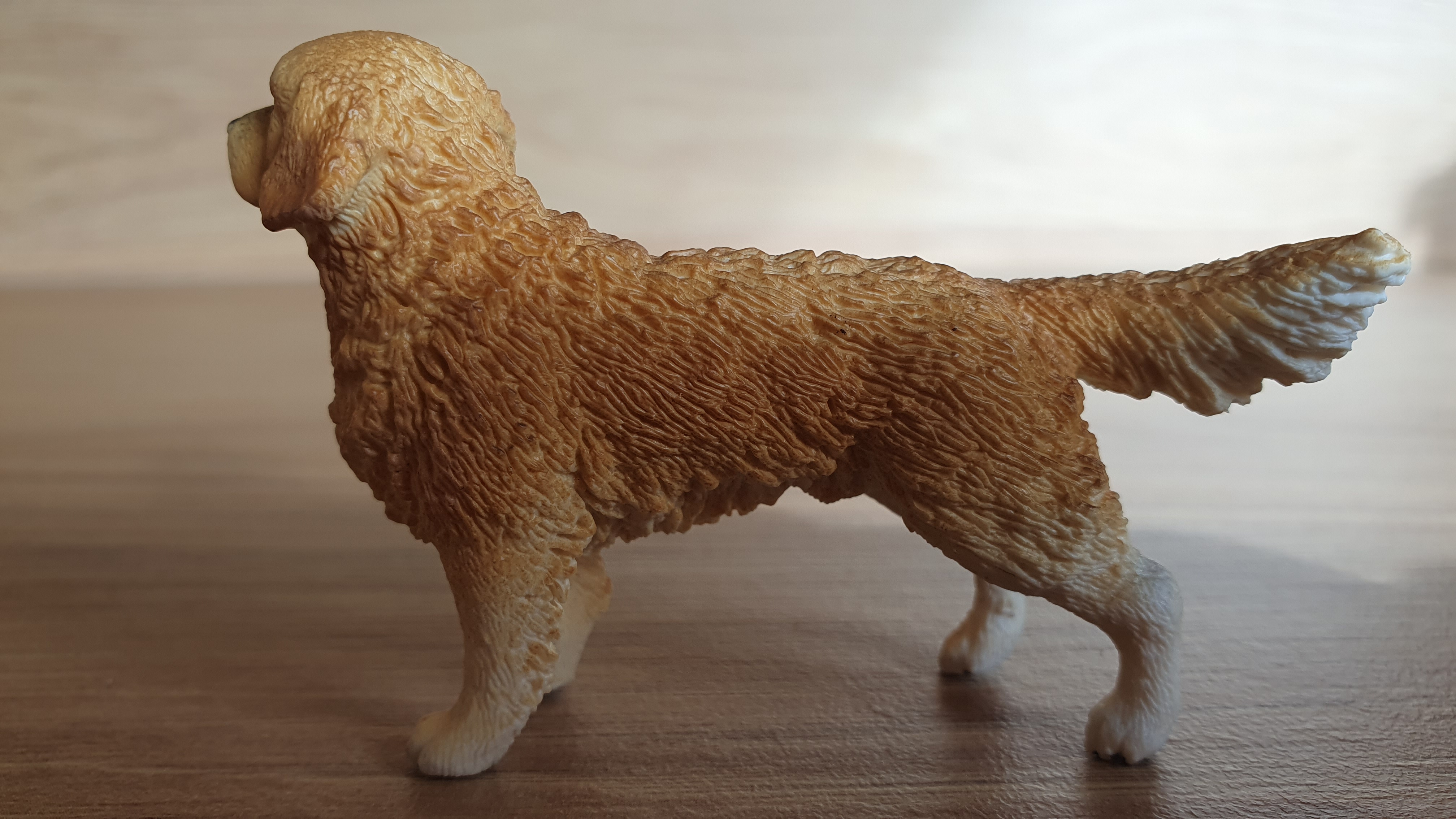 zlatý retrívr 16394, model 2013