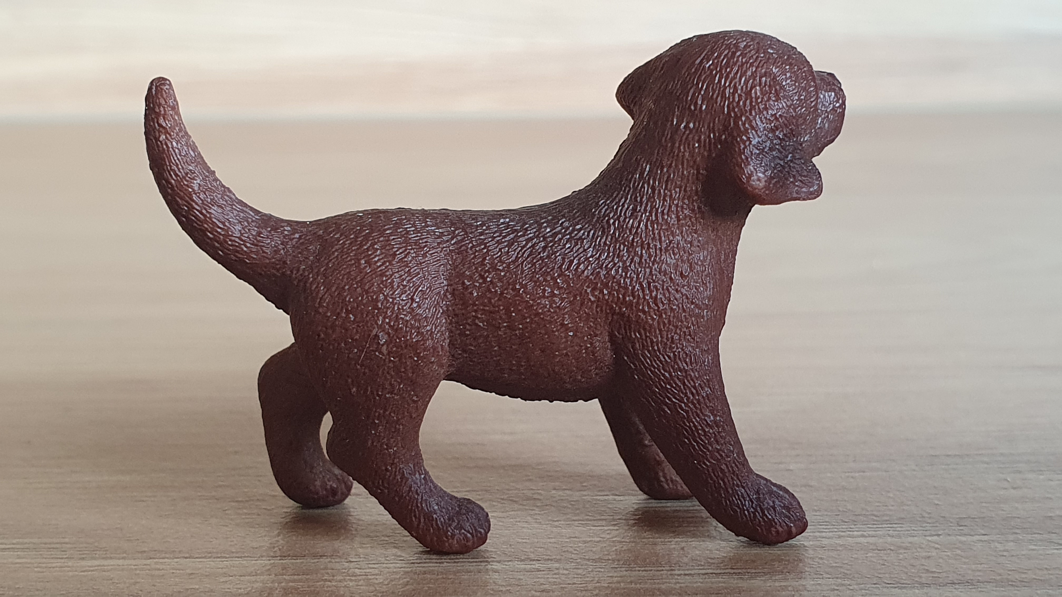 labrador hnědý štěně ze setu 42543