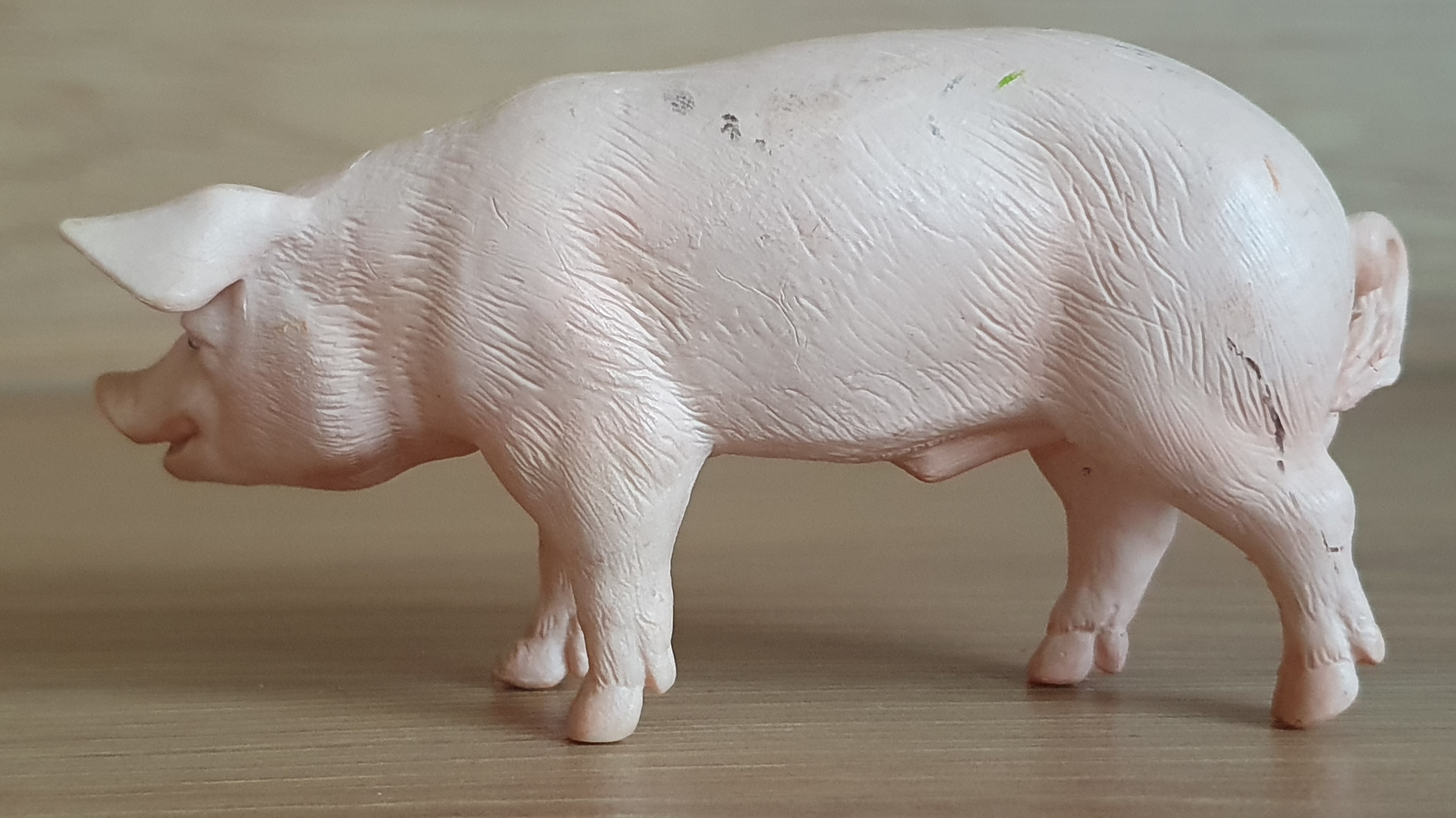 prase 13287, model 2003