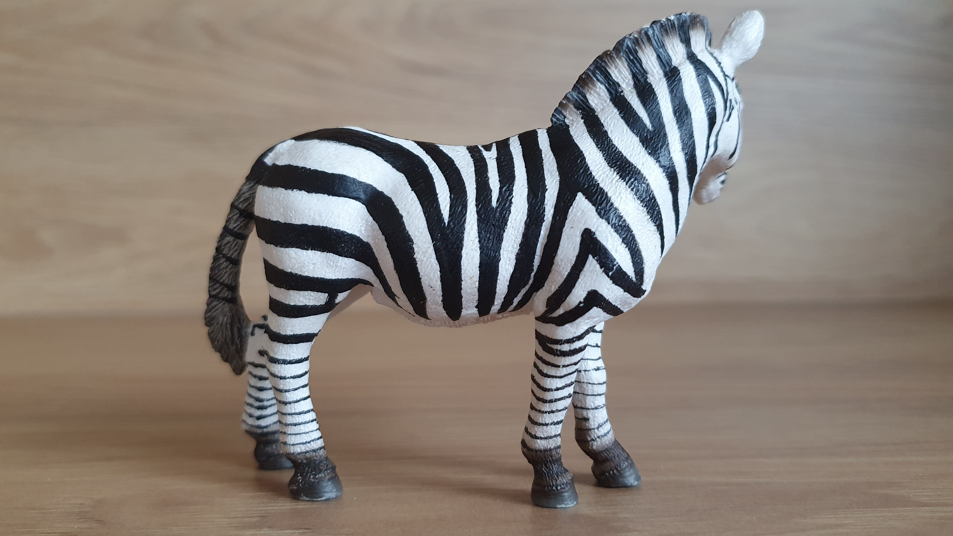 zebra 14392, model 2008