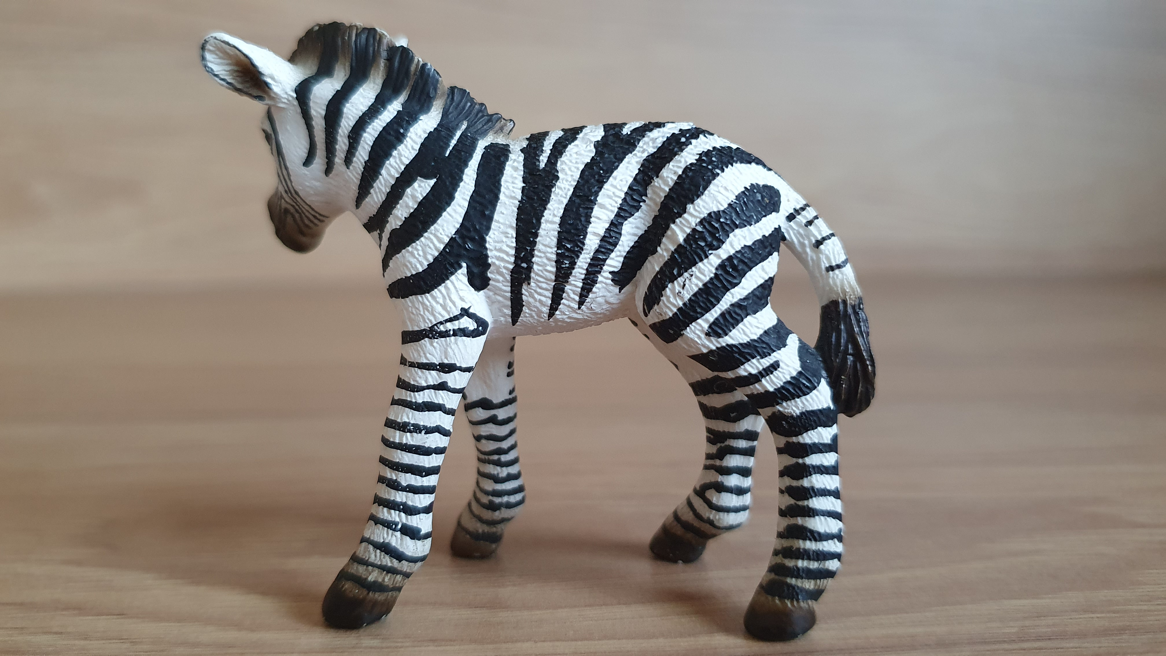 zebra mládě 14393, model 2008