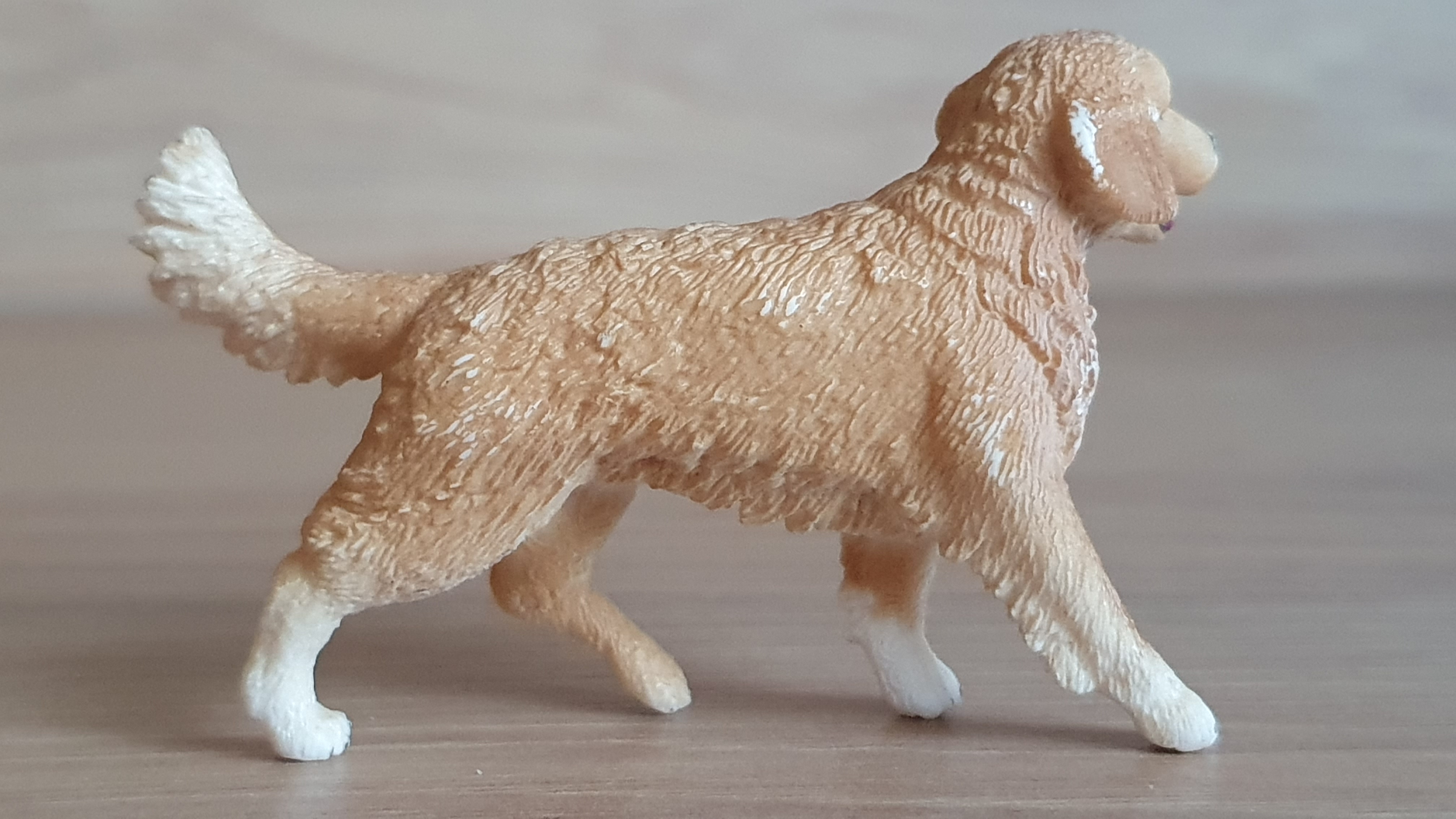 zlatý retrívr  16395, model 2013