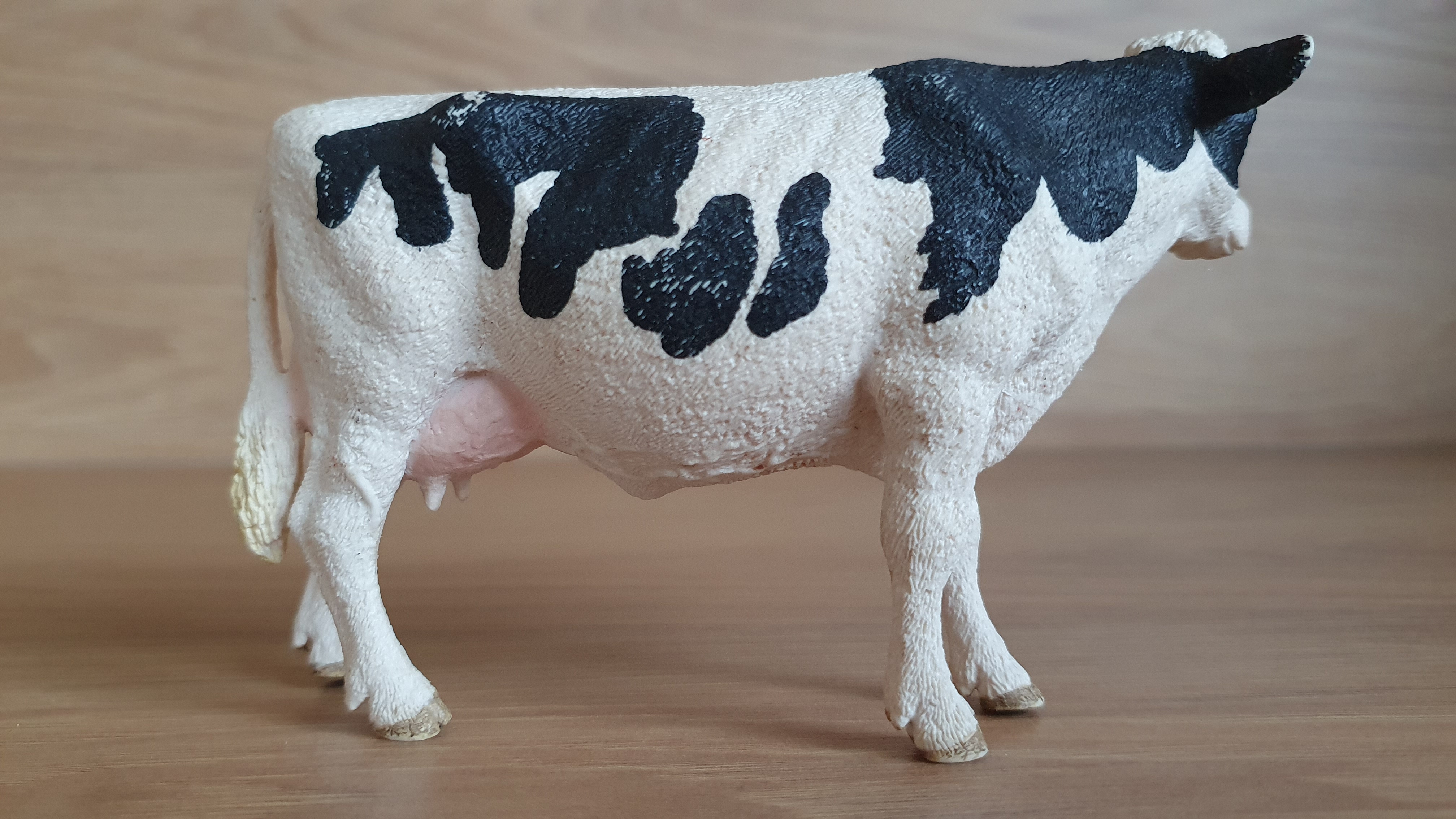 kráva holštýnská 13797, model 2015