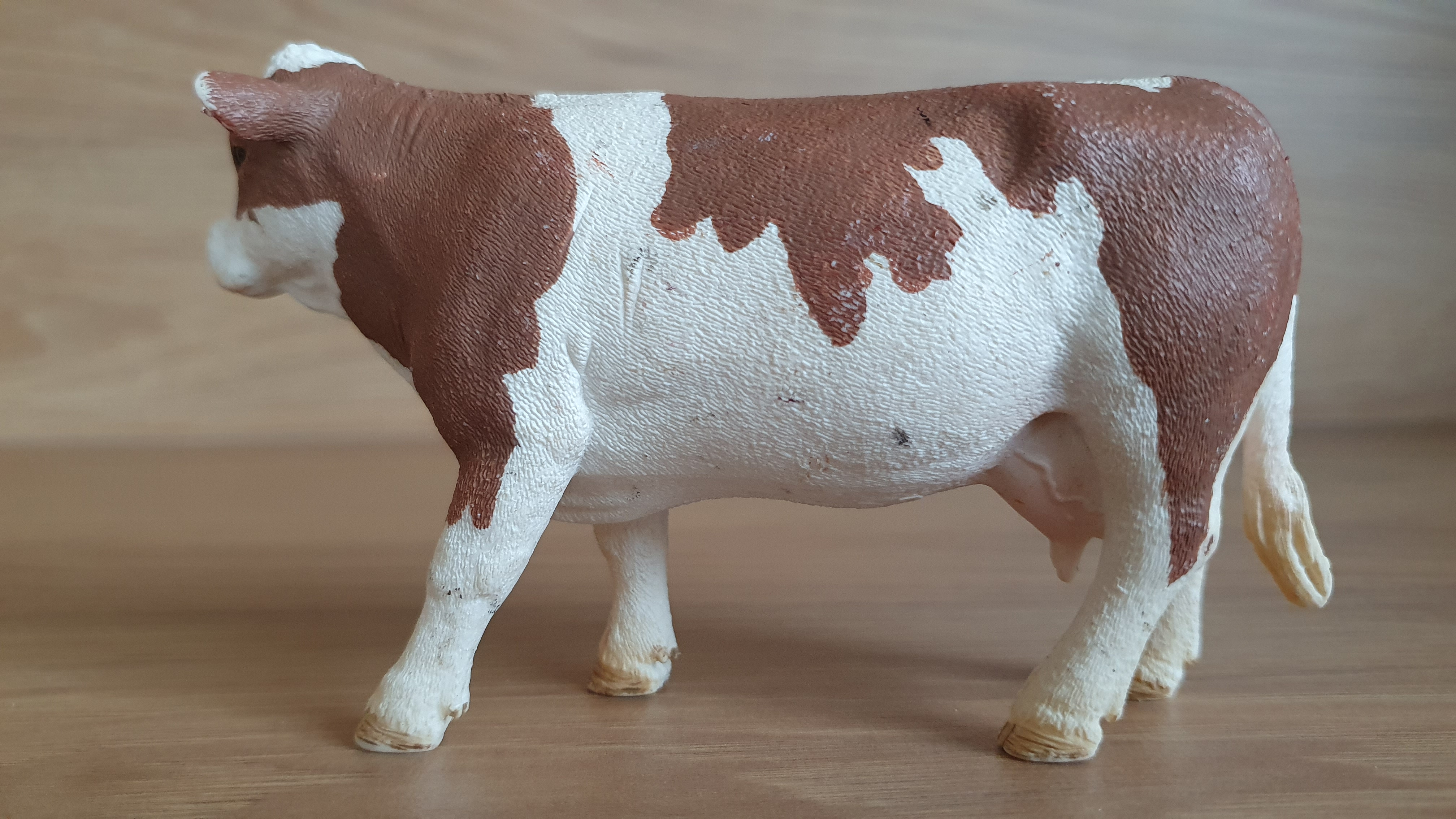 kráva Simmentálská 13801, model 2015