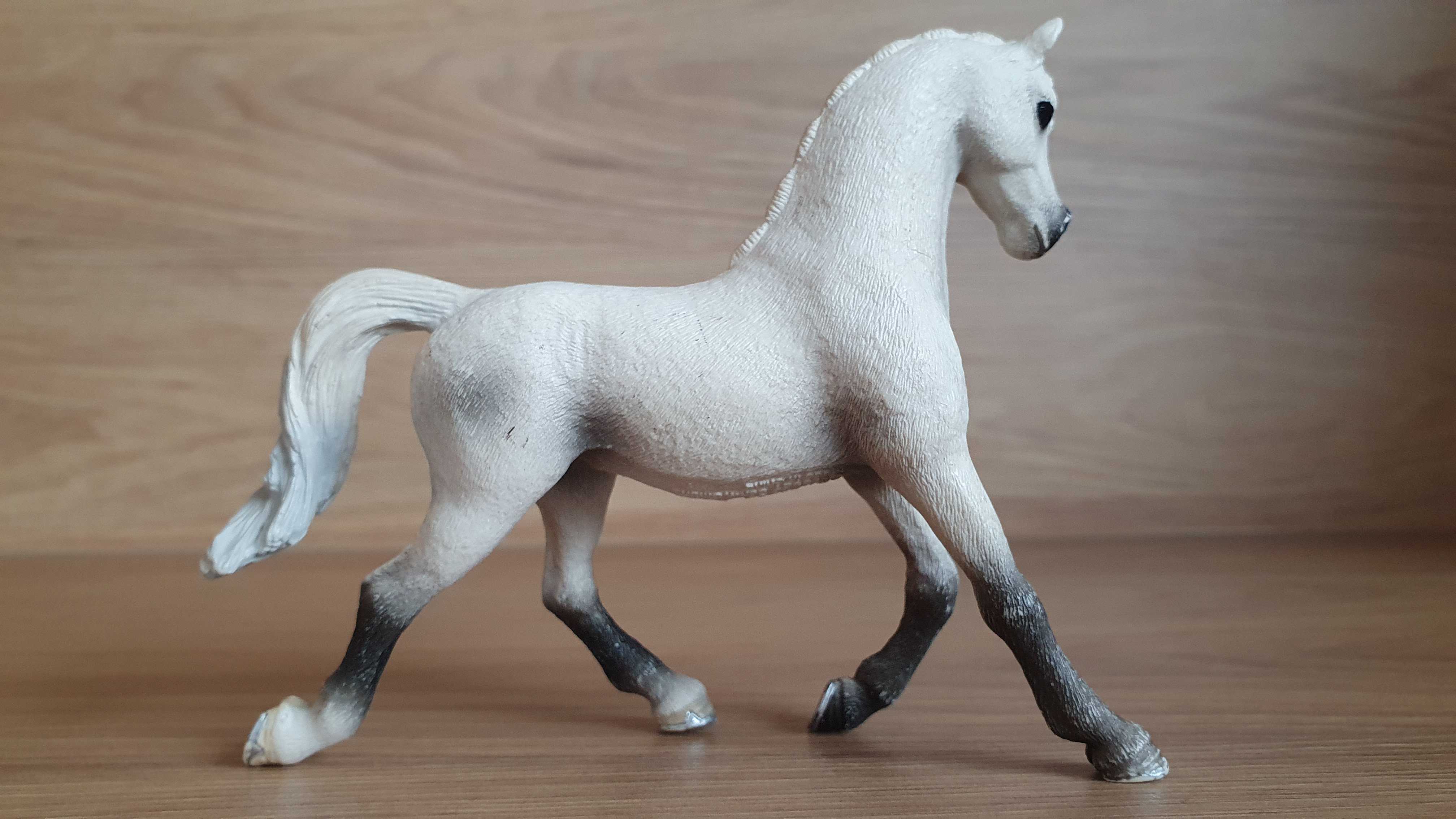 Bílá arabská klisna 13761, model 2013
