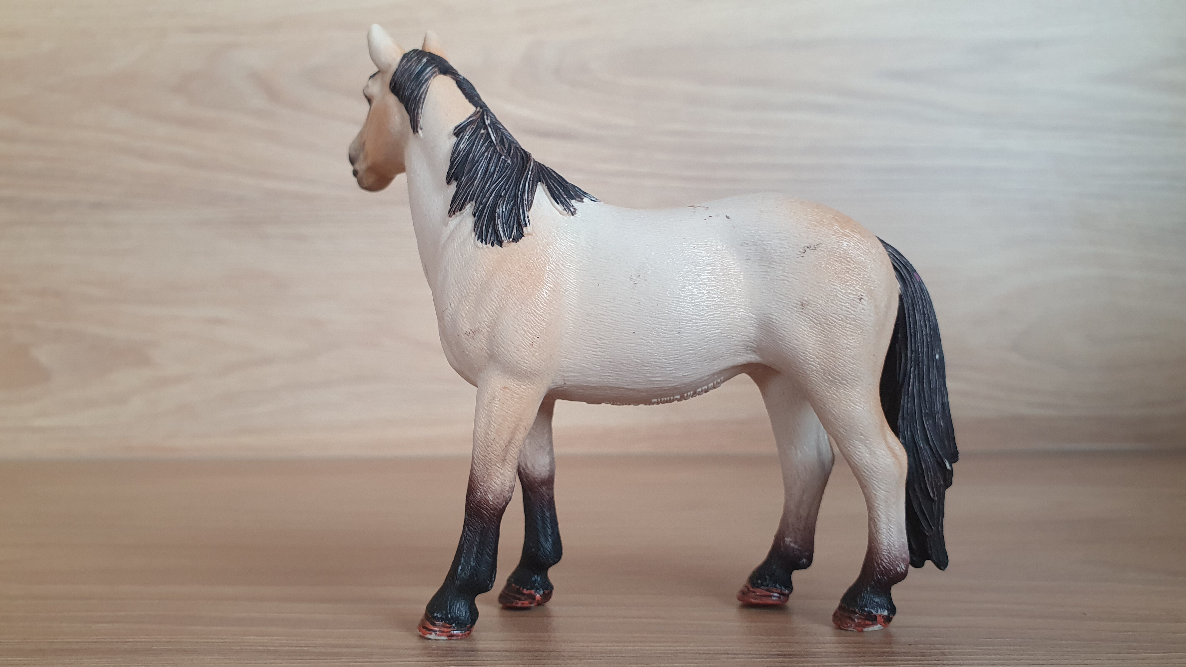 Klisna Mustanga 13806, model 2015