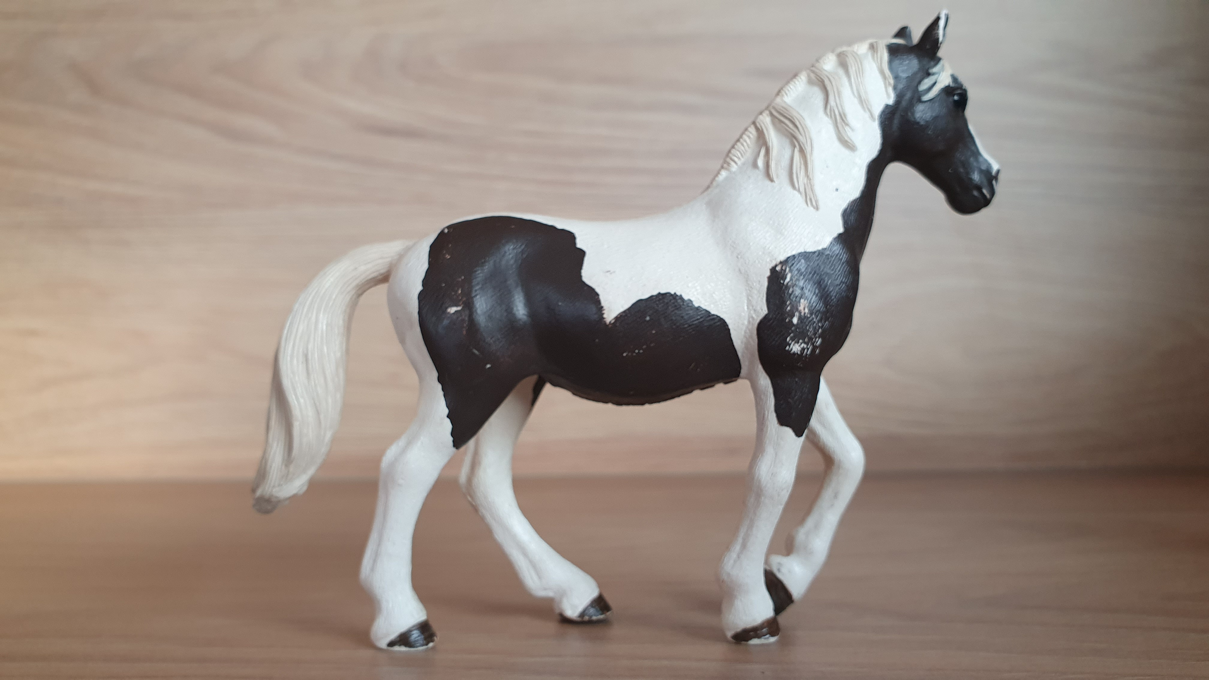 Pinto klisna  13830, model 2016