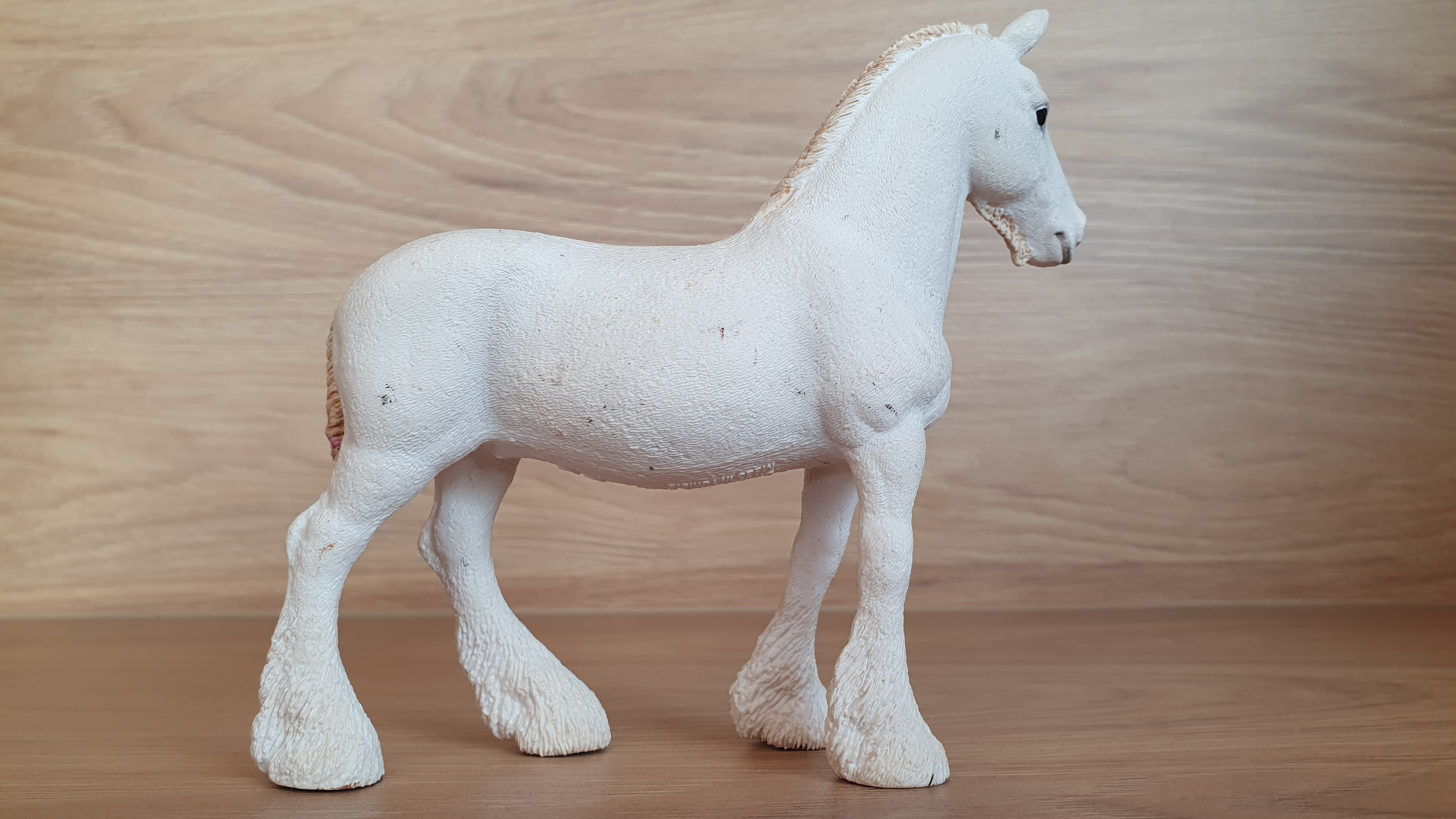 Klisna shirská 13735, model 2012