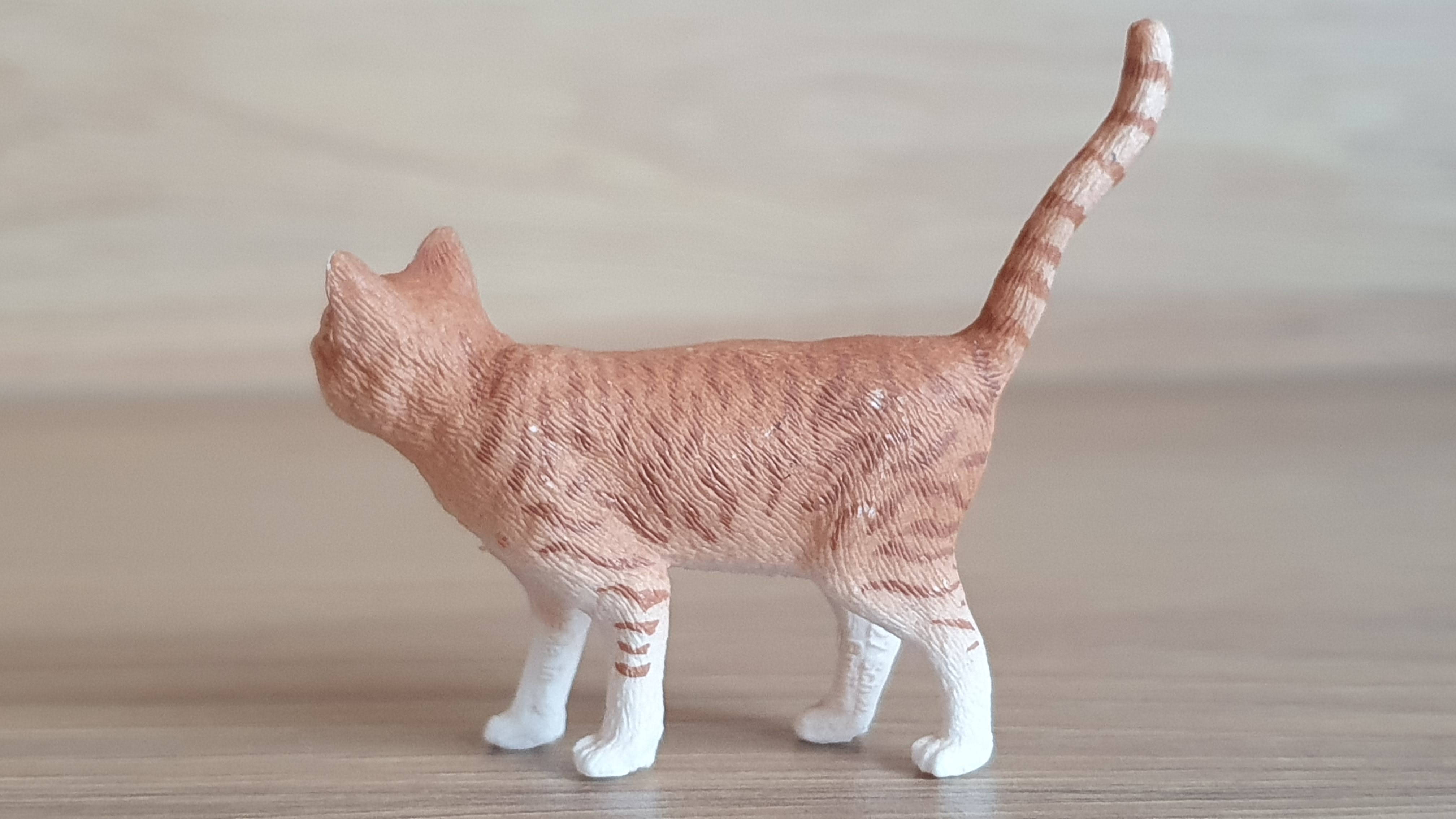 kočka rezavá 13836, model 2016
