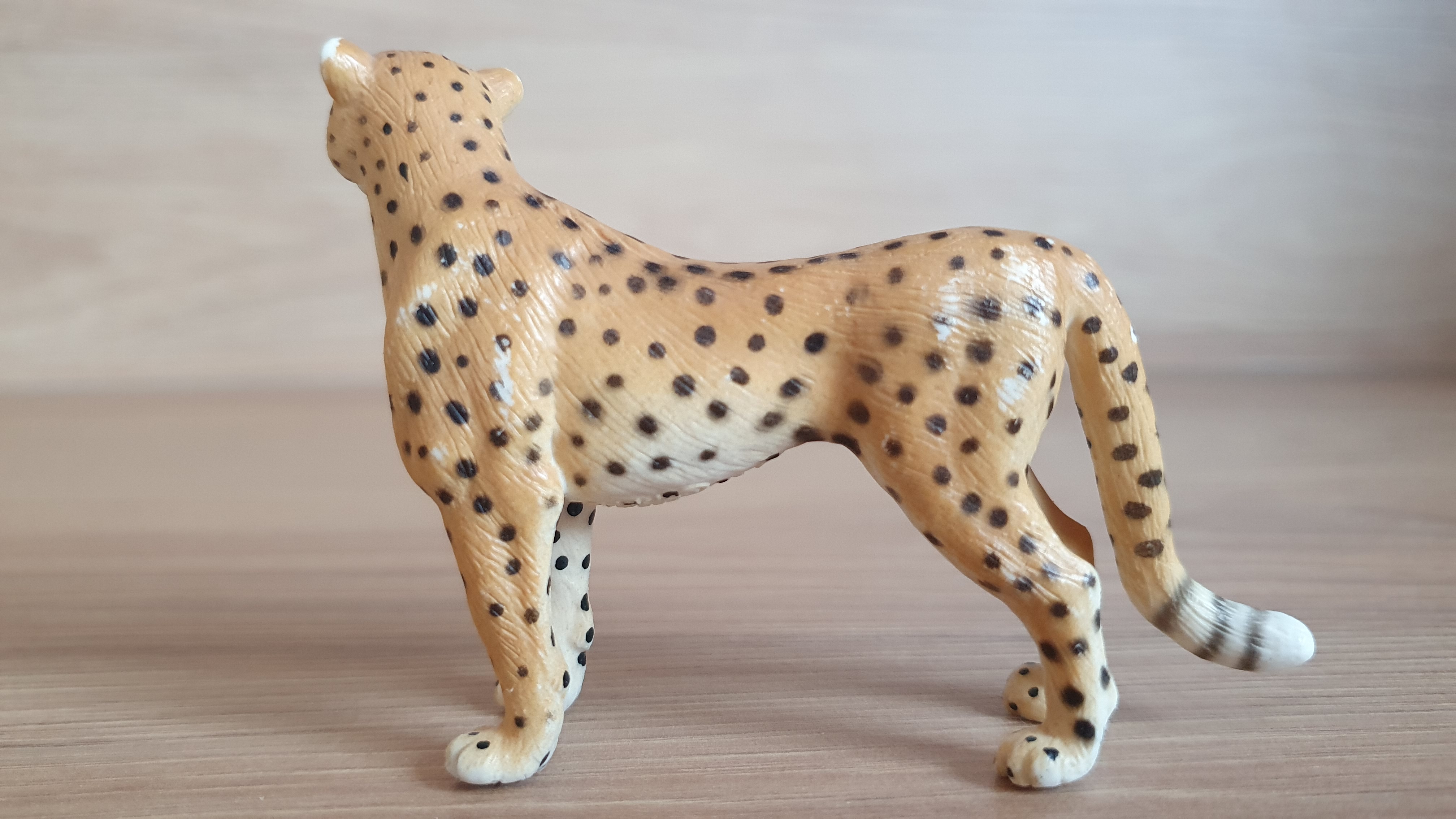 gepard 14143, model 1997
