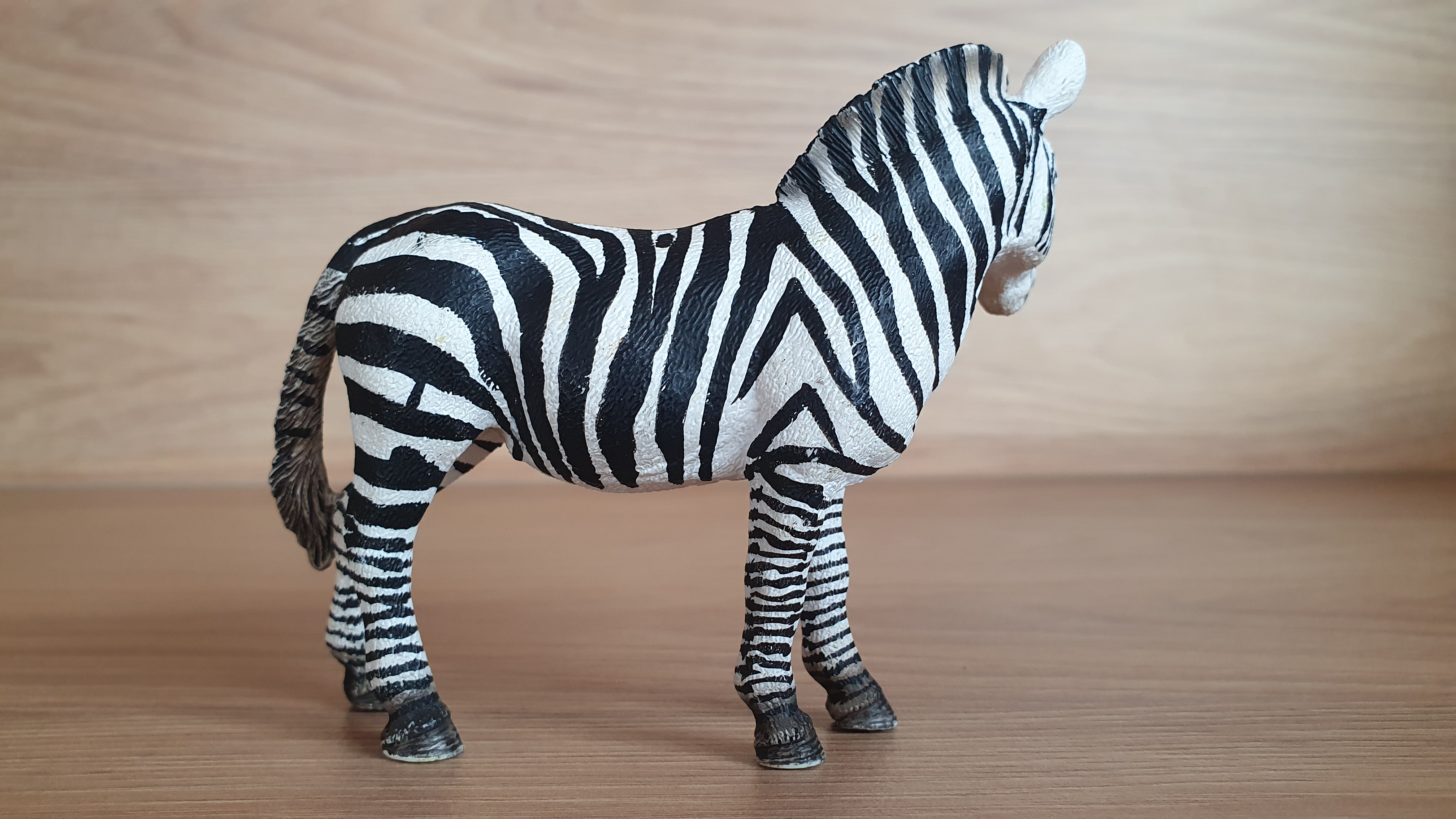 zebra 14392, model 2008