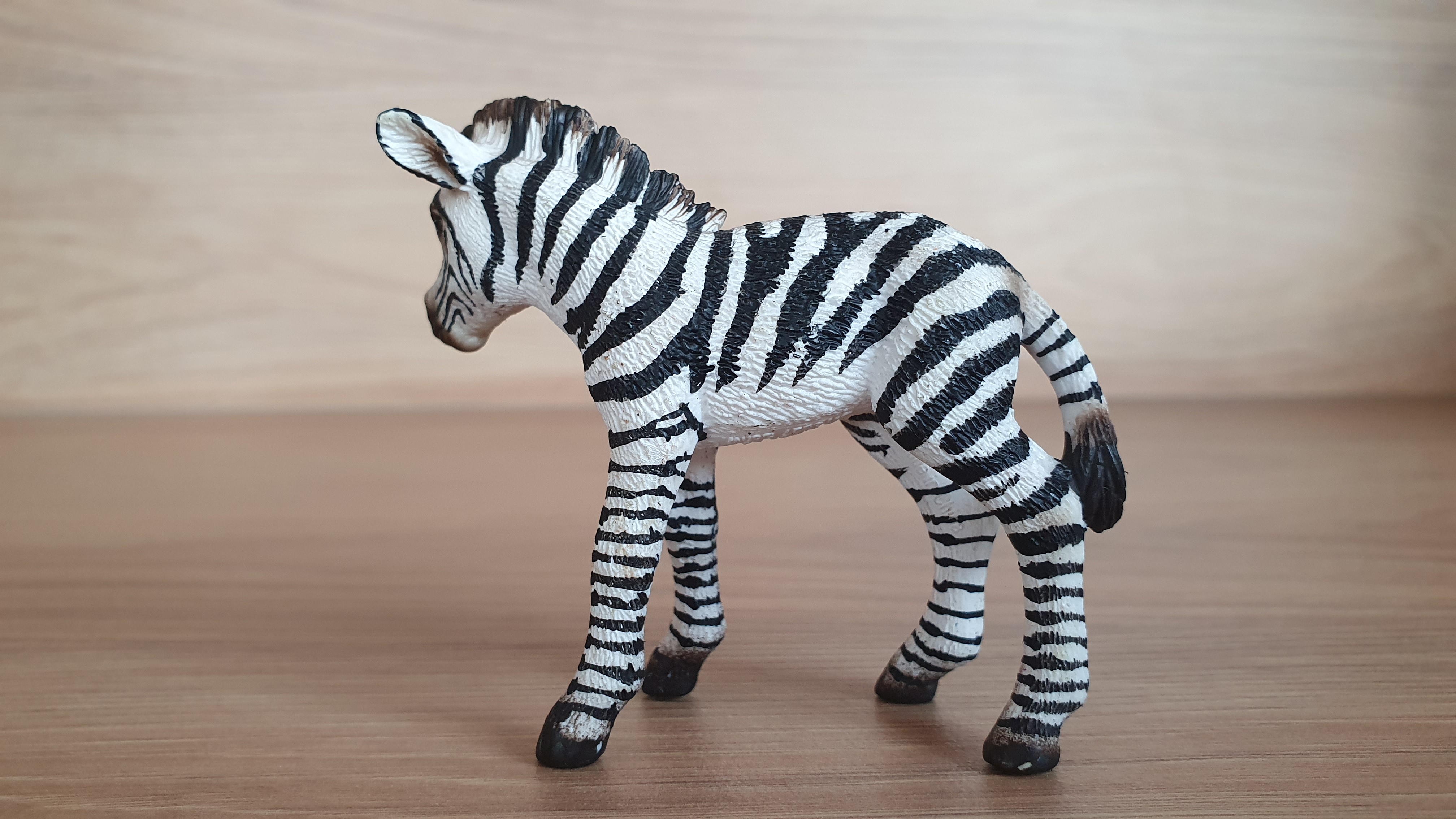 zebra mládě 14393, model 2008