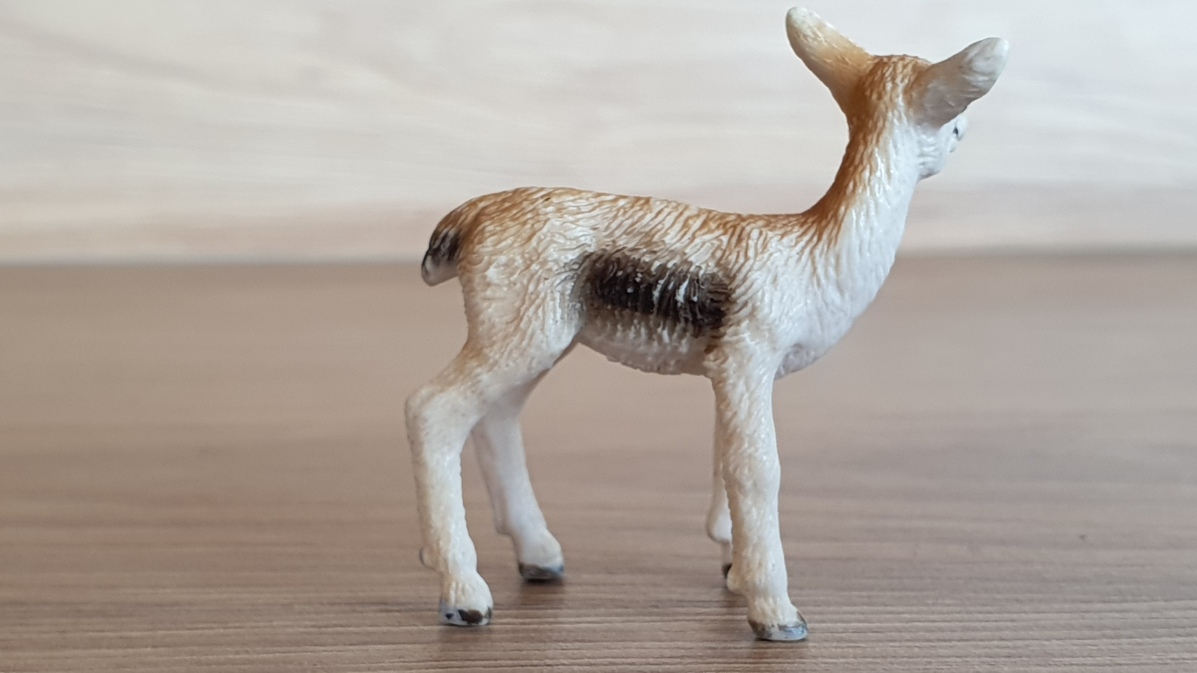 gazela mládě 14397, model 2008