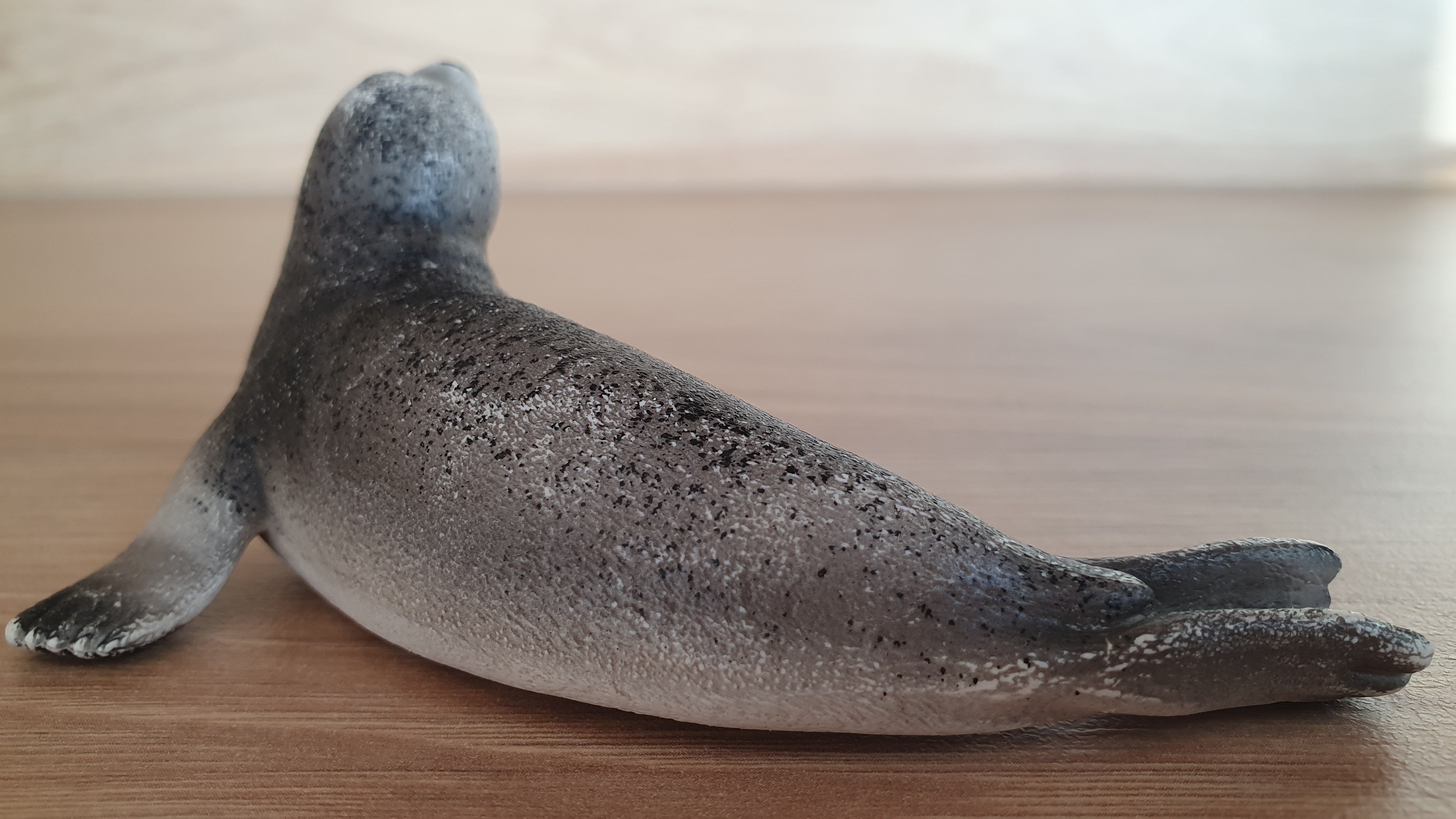 tuleň  14702, model 2012