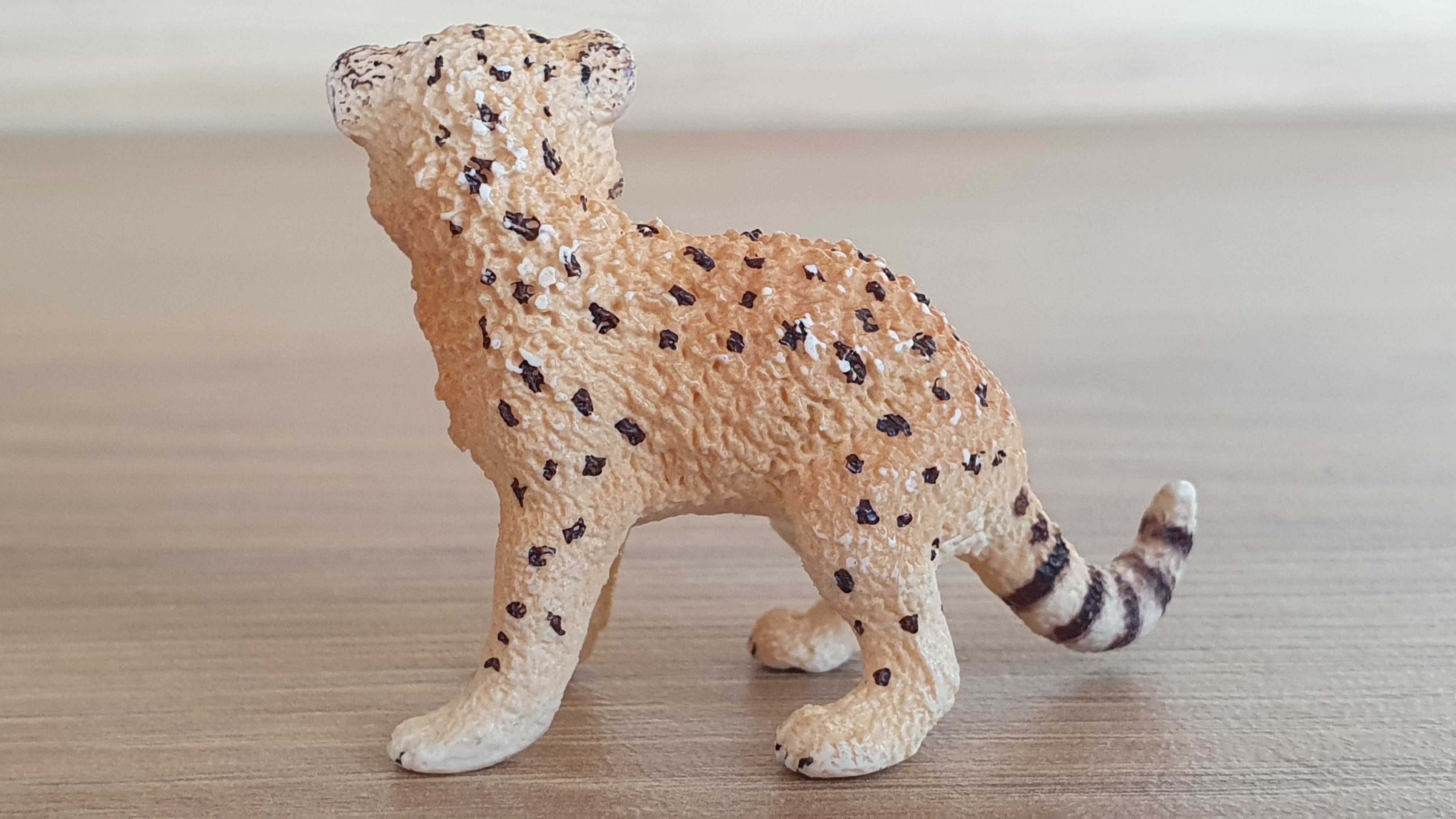 gepard mládě 14747, model 2015