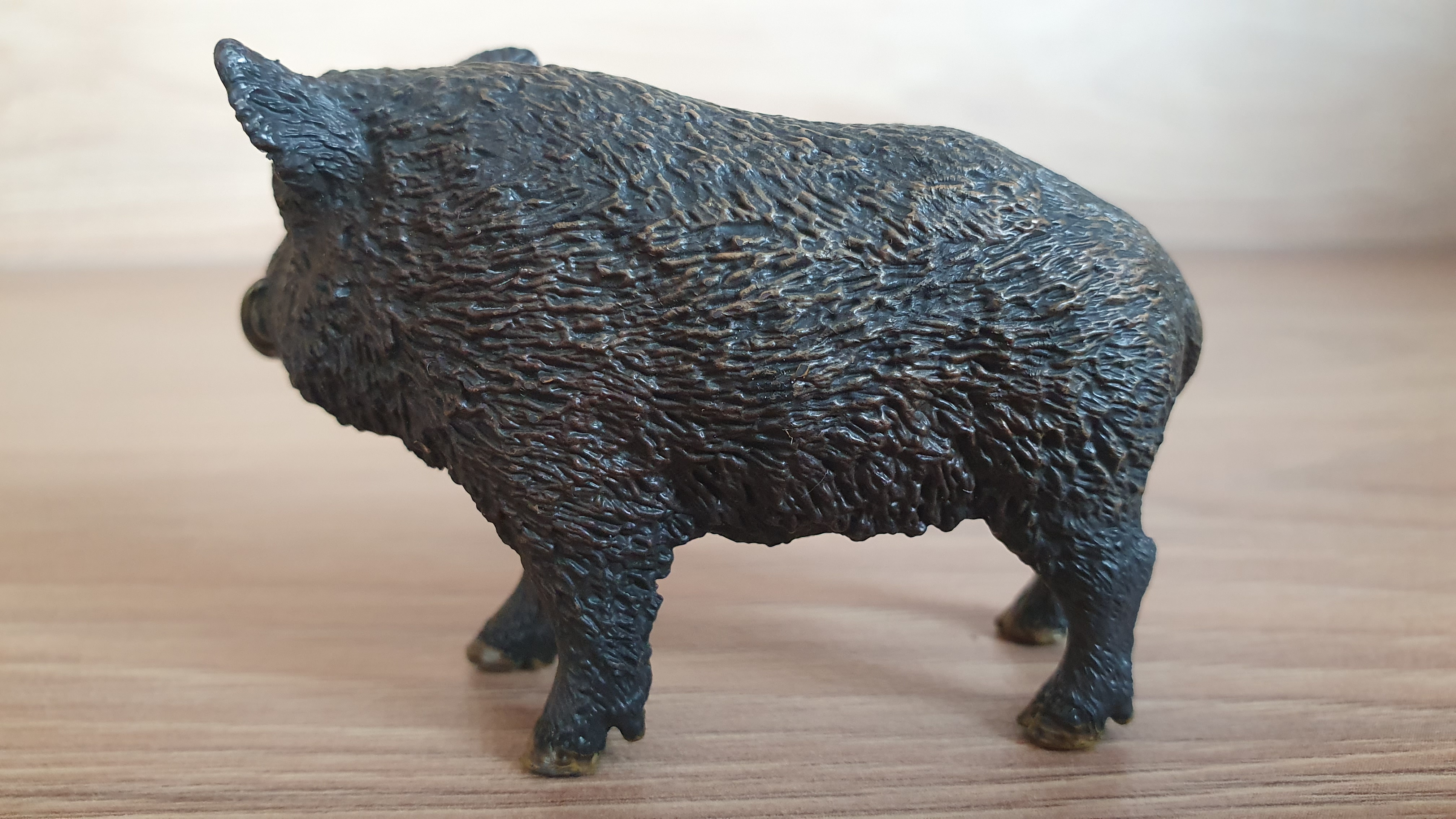 prase divoké  14783, model 2016