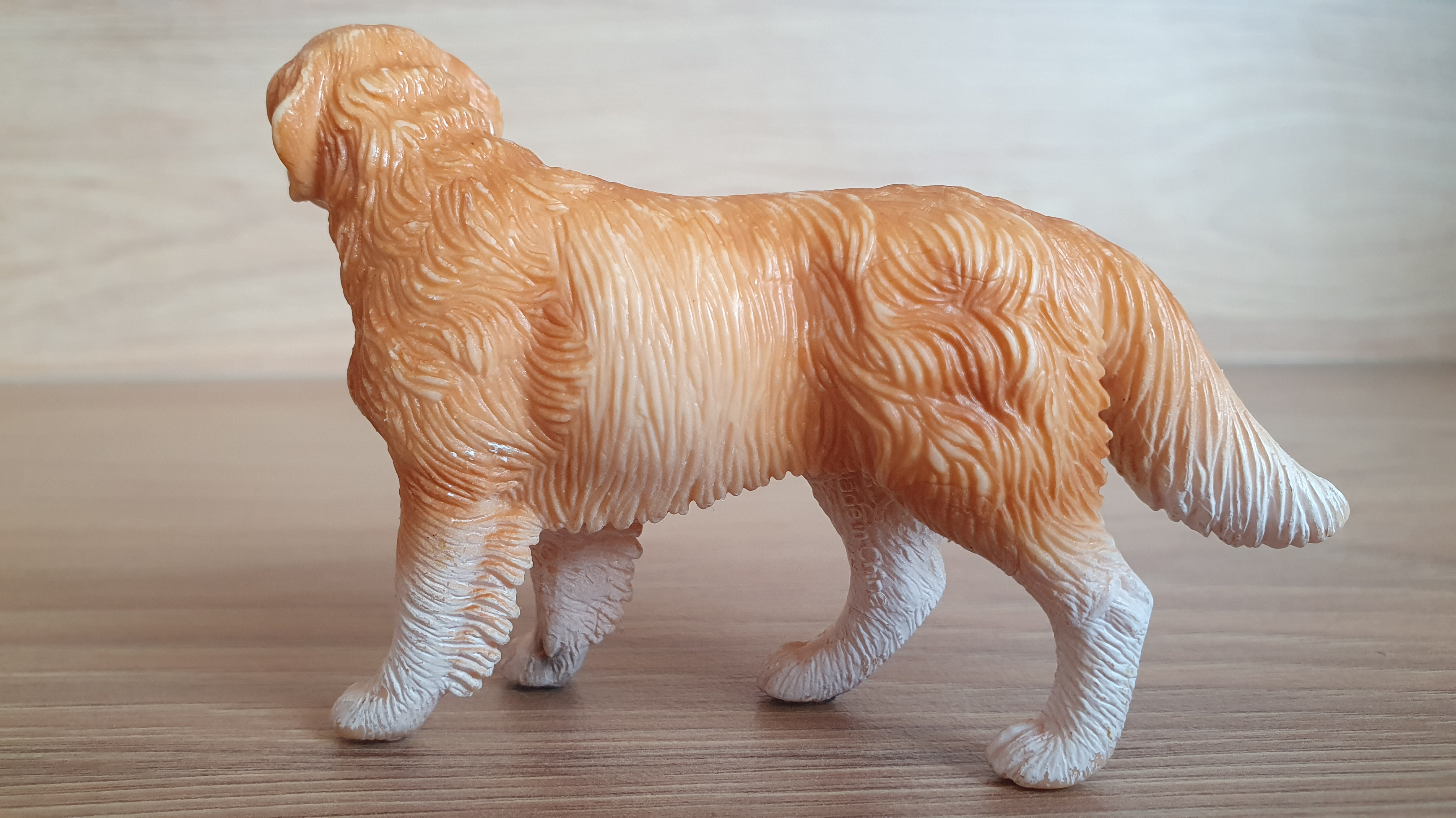 zlatý retrívr 16377, model 2008