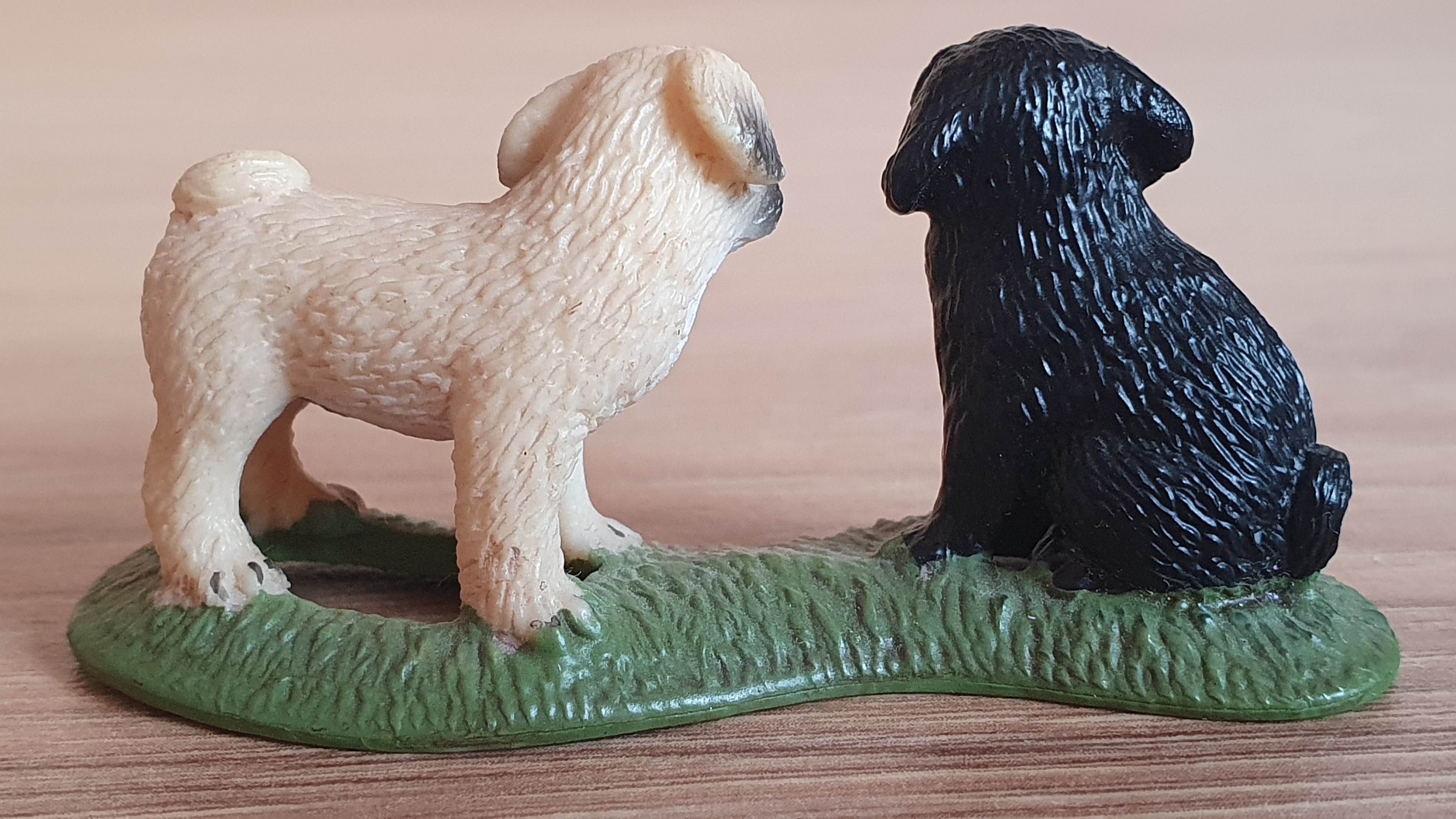 mops štěňata  16383, model 2009