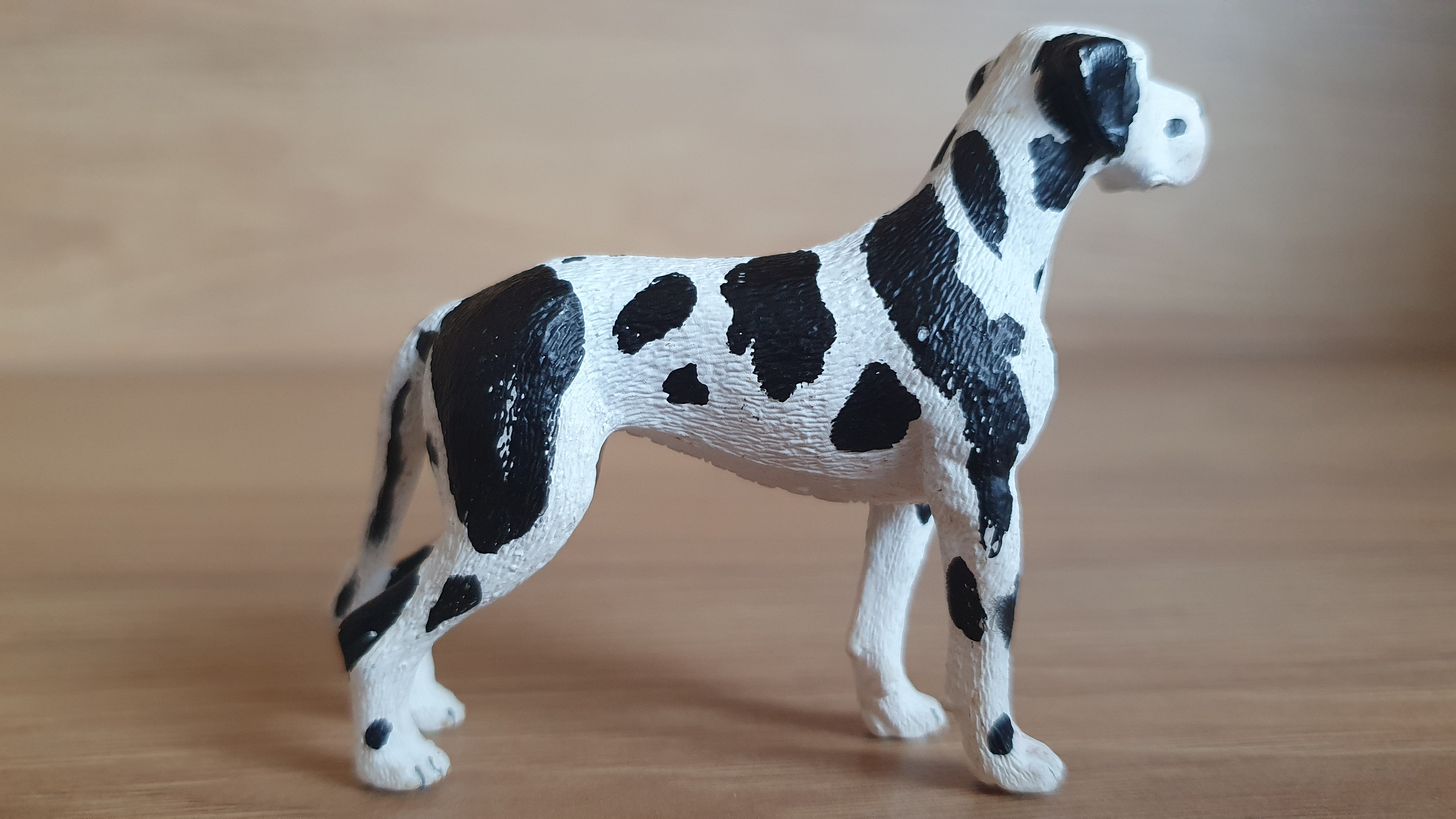 Německá doga 16384, model 2009